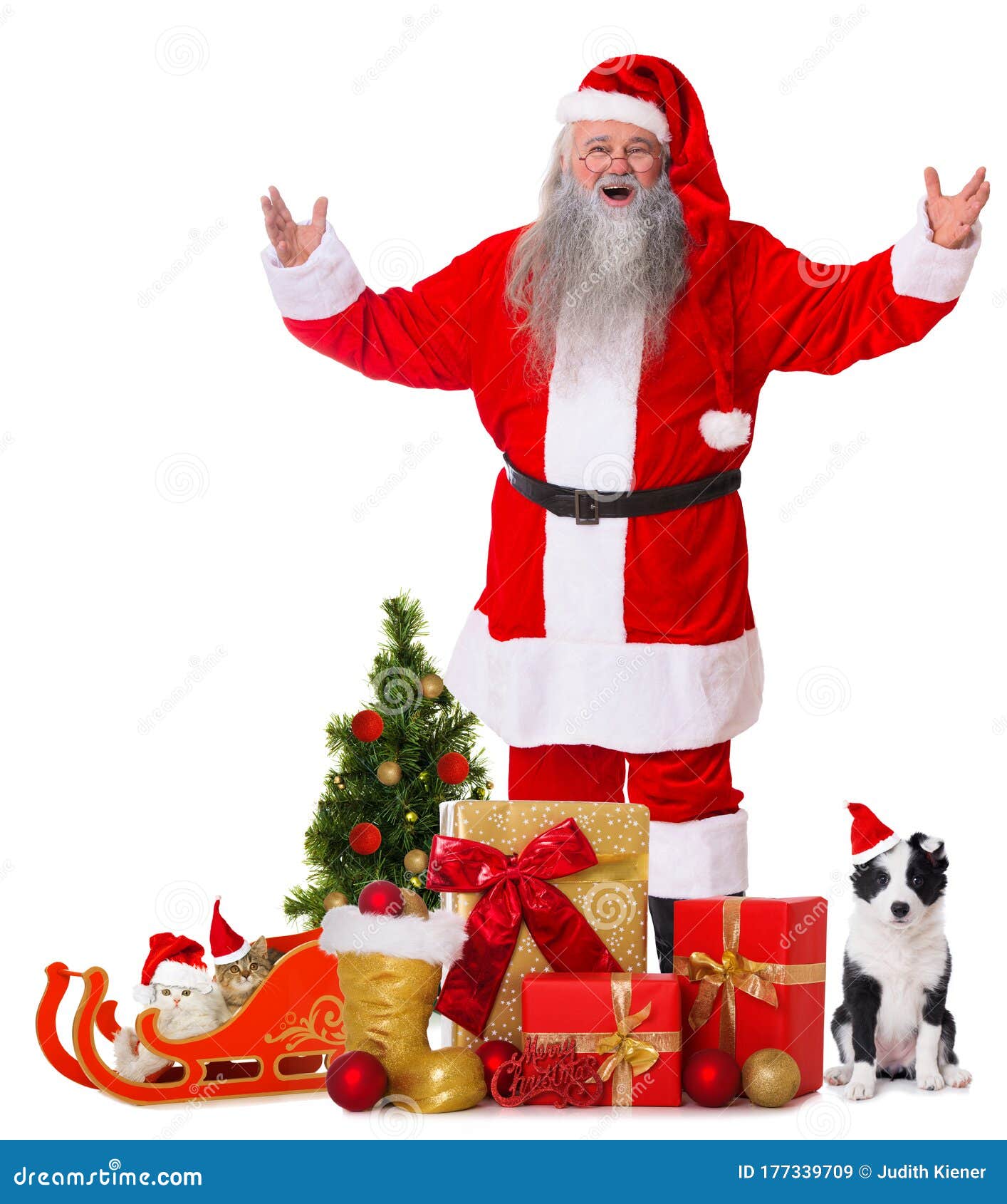 Santa Claus with Pets and Gifts Stock Image Image of happy, gift