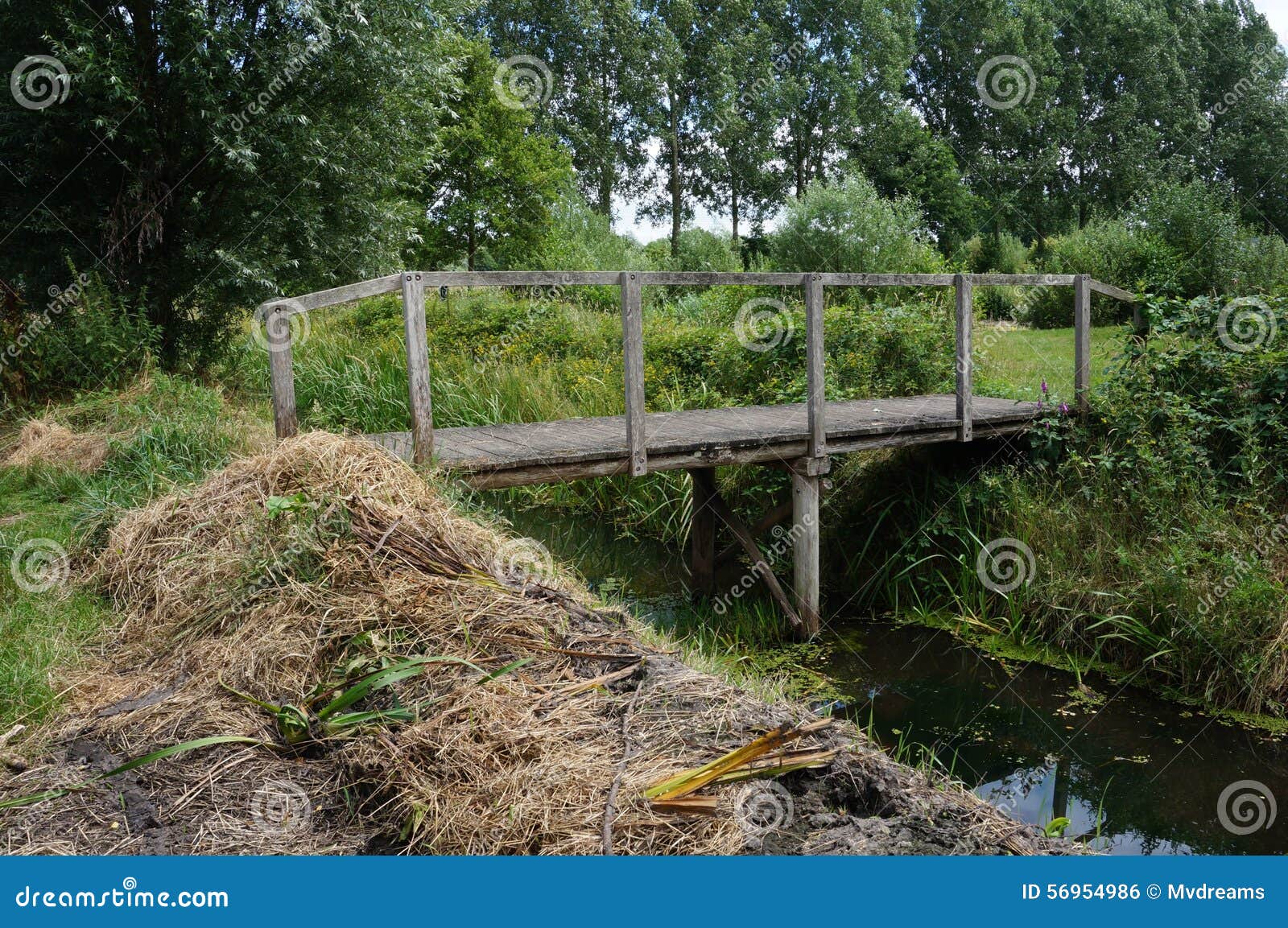 Brug over sloot kopen