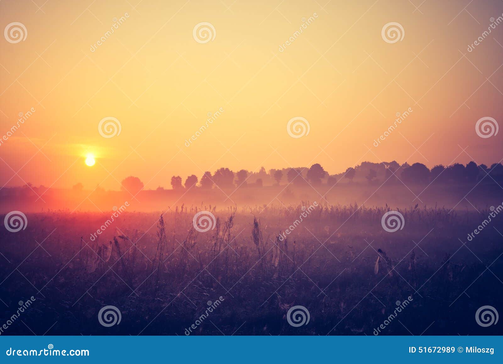 Weinlesefoto der nebeligen Wiese des Morgens im Sommer Landwirtschaftliche Landschaft. Schönes Foto der ländlichen nebeligen Wiesenlandschaft fotografierte bei Sonnenaufgang Landschaft mit der Weinlesestimmung nützlich als Hintergrund