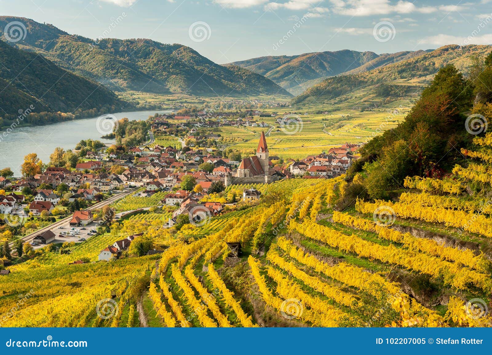 weissenkirchen wachau austria in autumn colored leaves and vineyards