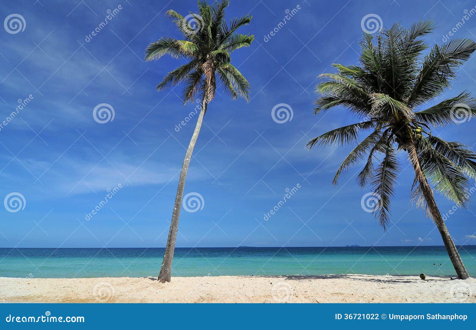 Weißer Strand in Thailand. Kokosnussbäume auf dem weißen Strand in Thailand.