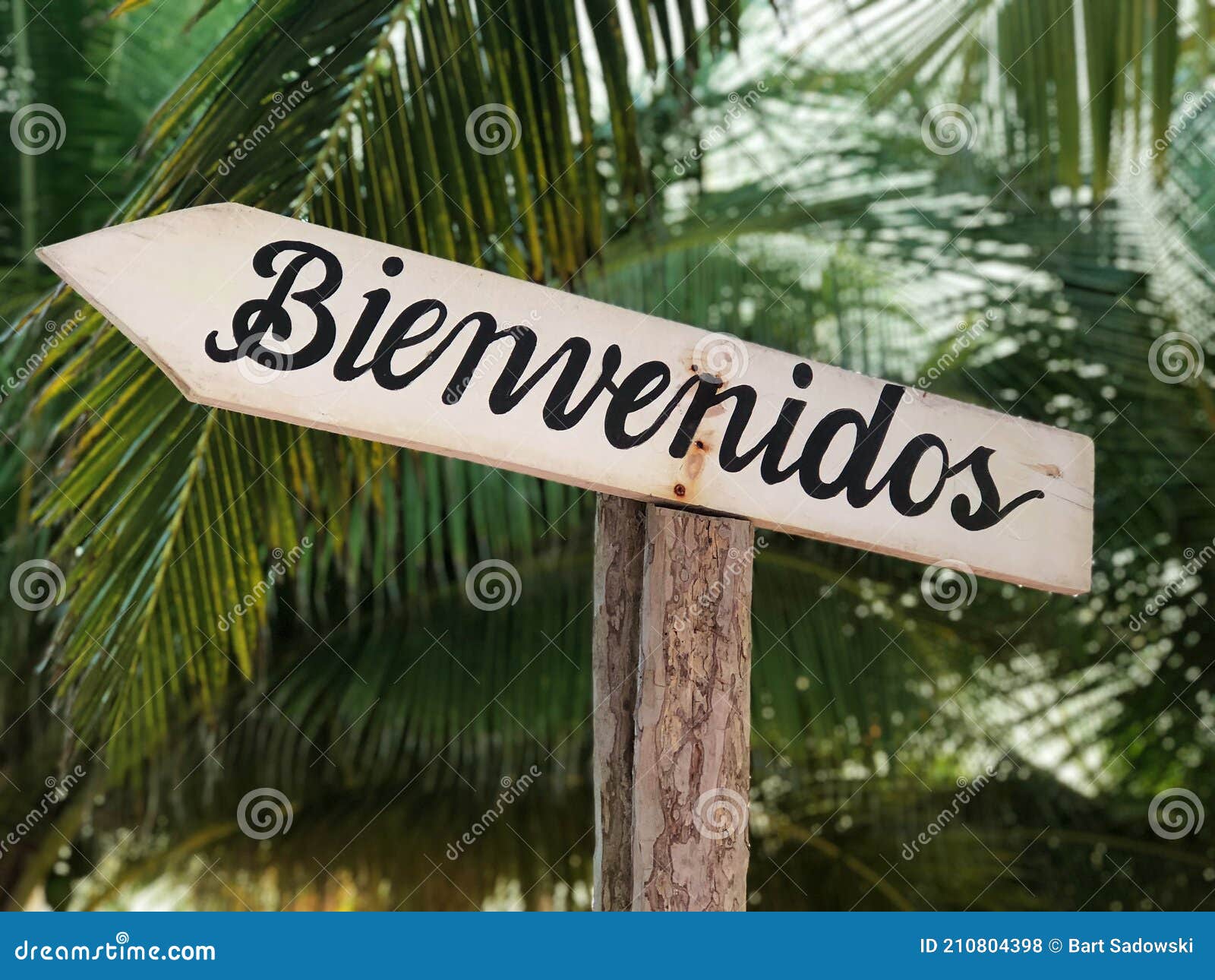 Spenish Bienvenidos Welcome Sign with Palm Trees in the Background Stock  Photo - Image of island, spanish: 210804398