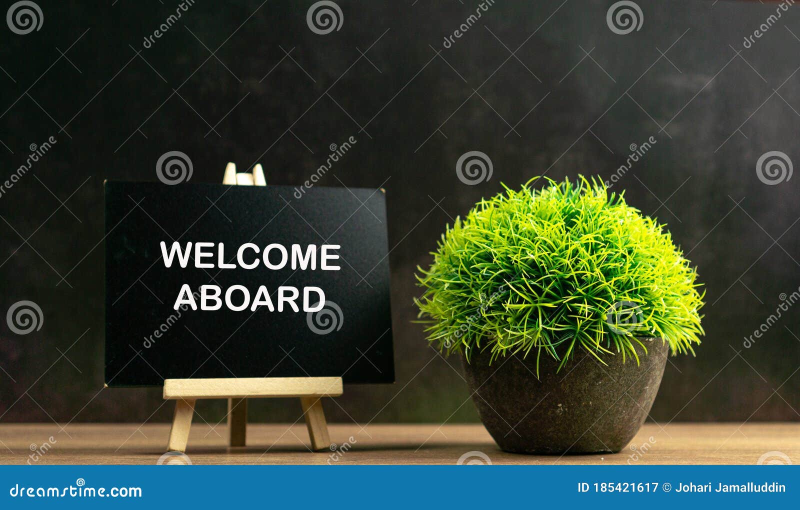 welcome aboard wrote on chalkboard with green plant in pot
