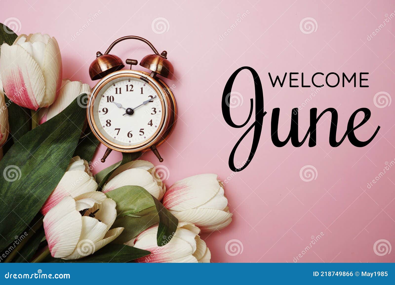 June Text with Alarm Clock and Tulip Flower Decoration on Pink