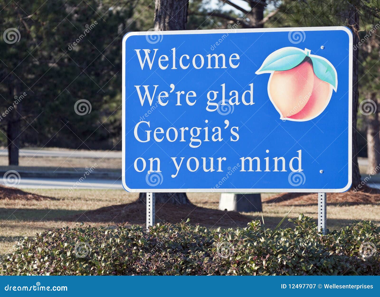 welcome to georgia