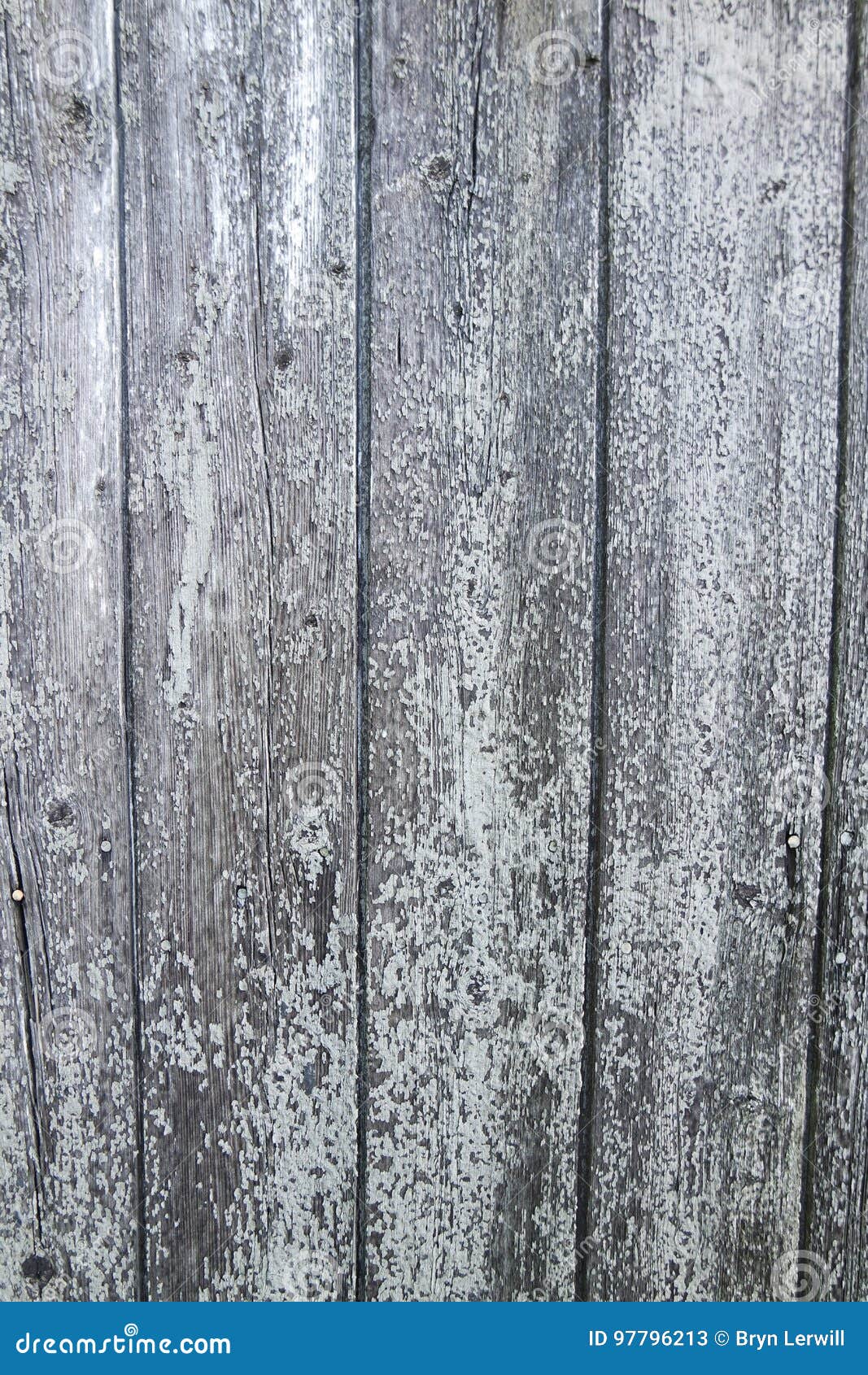 well aged wooden planks - wall