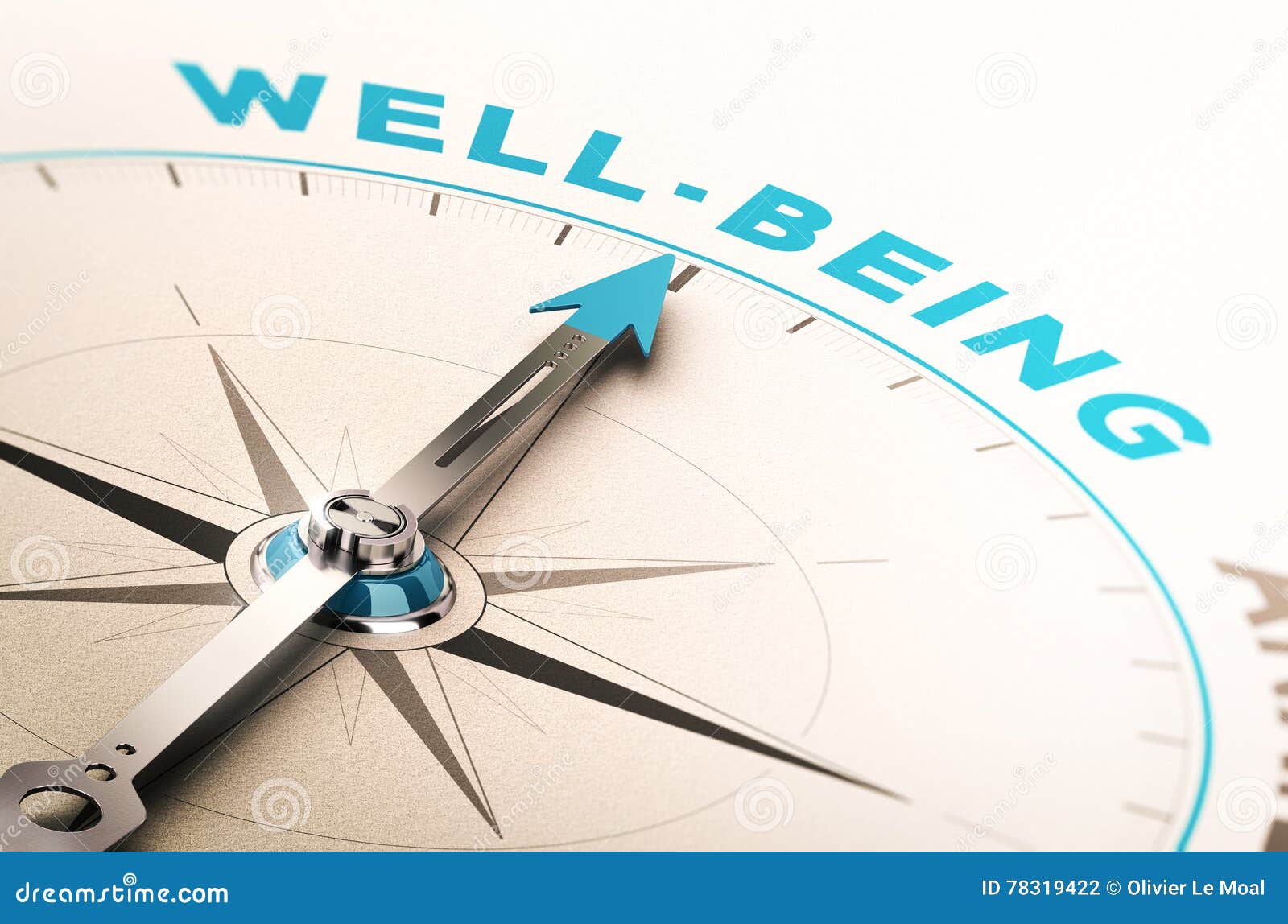 well-being or wellness