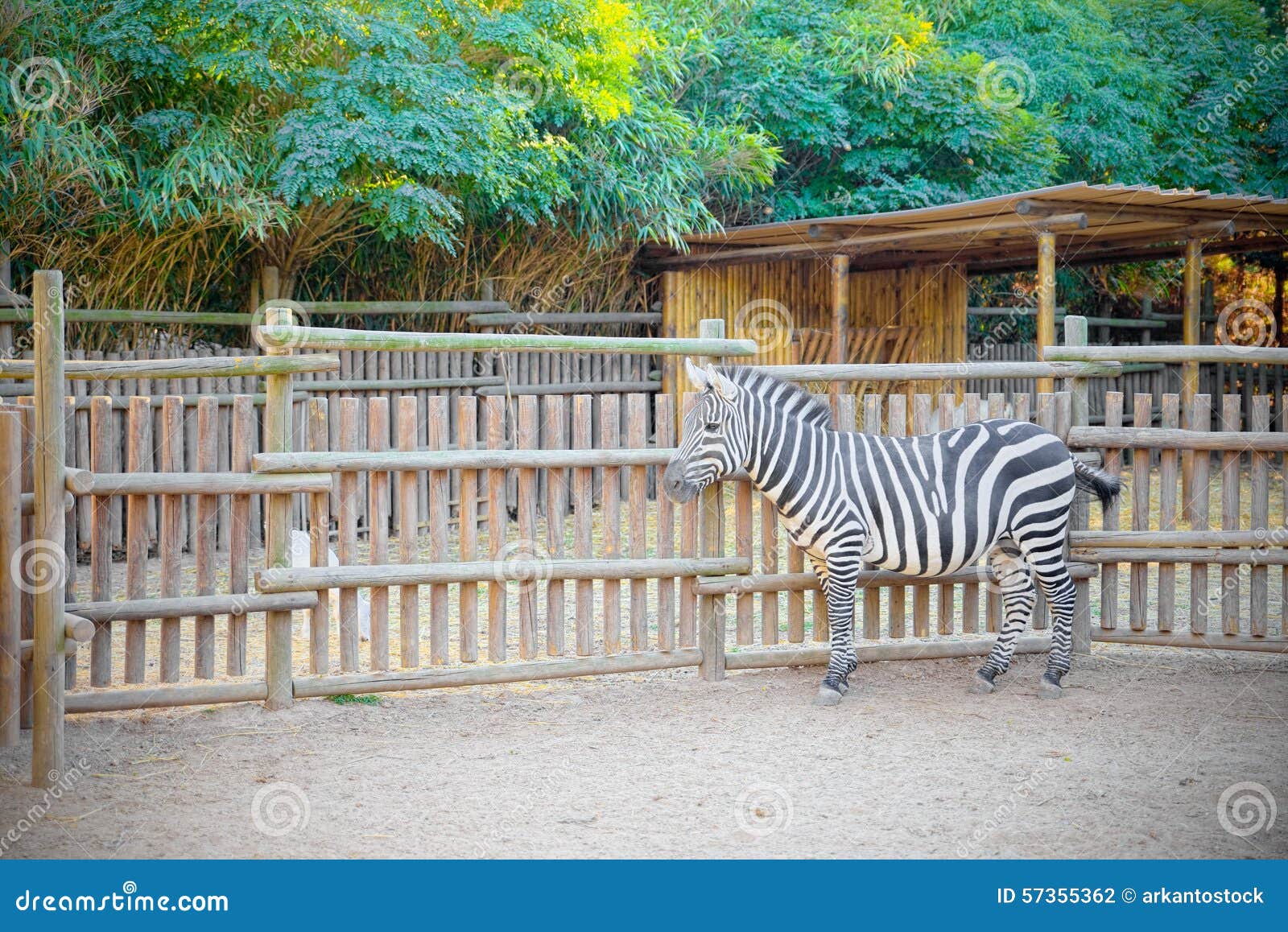 Farm Animals Inside Fence Stock Images Download 134 Royalty Free Photos