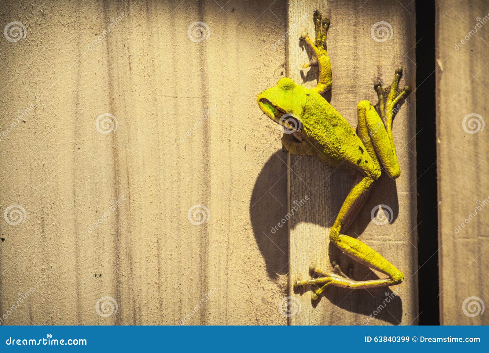 Well Hello There stock image. Image of costa, wooden 63840399