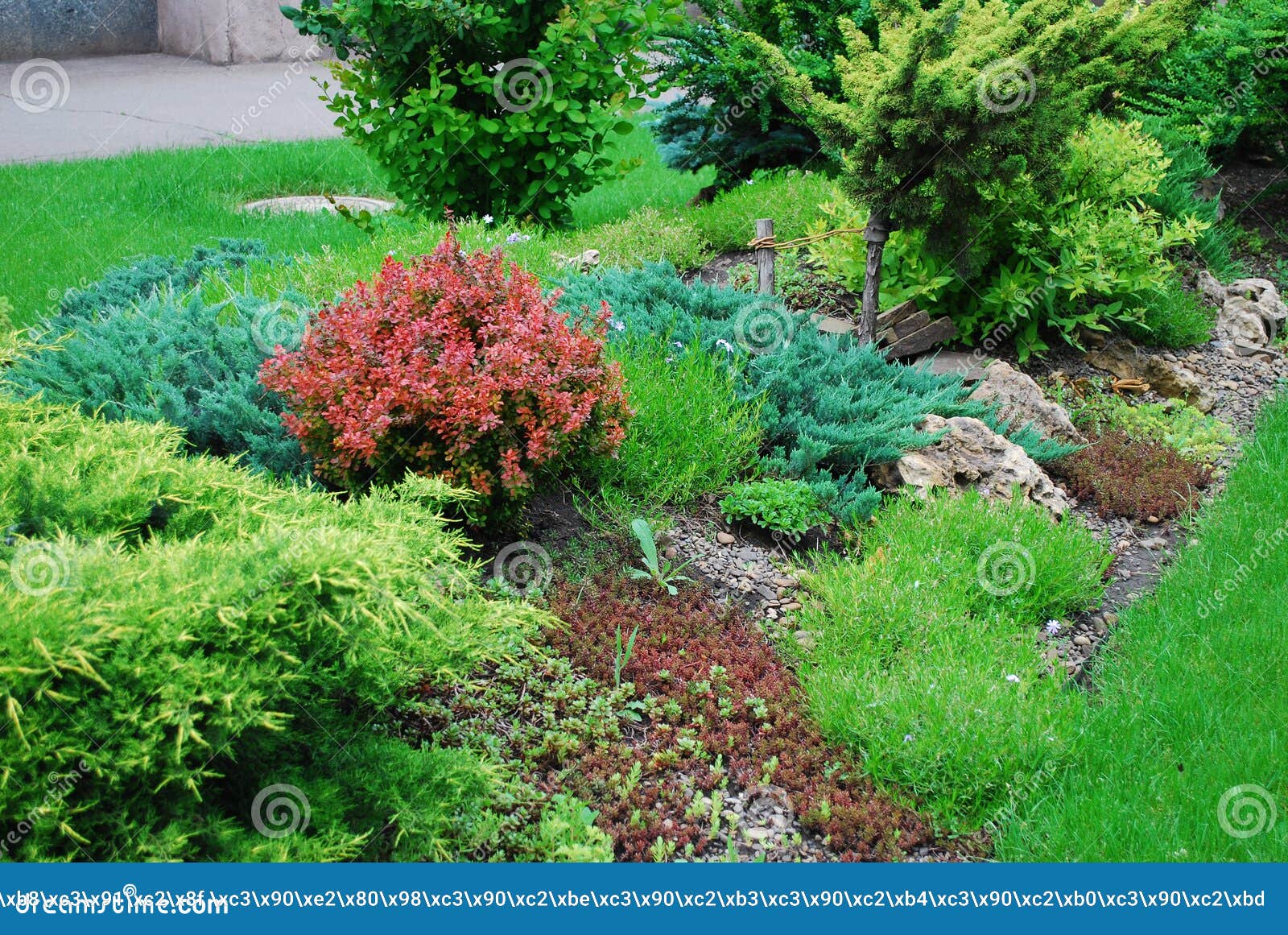 Wellkept Flowerbed in a Park with Ornamental Plants Stock Photo Image of lush, ornamental