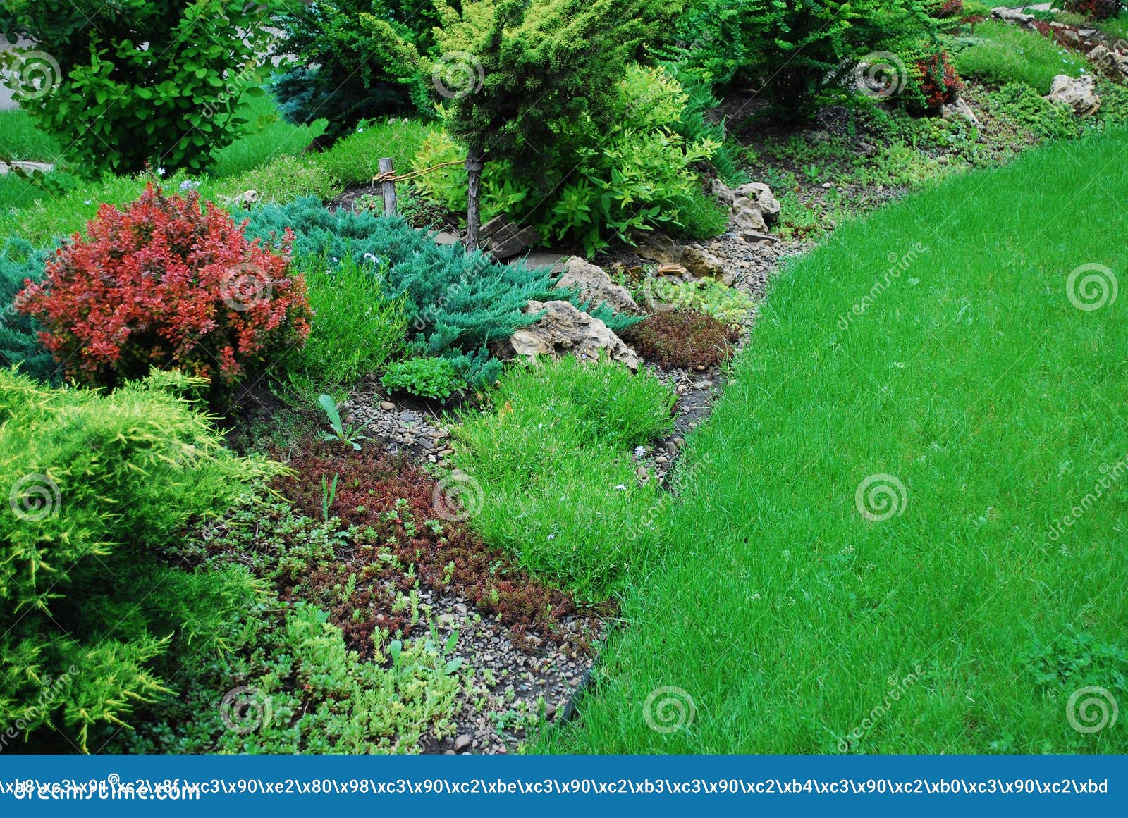 Wellkept Flowerbed in a Park with Ornamental Plants Stock Image Image of lawn, bush 185345031