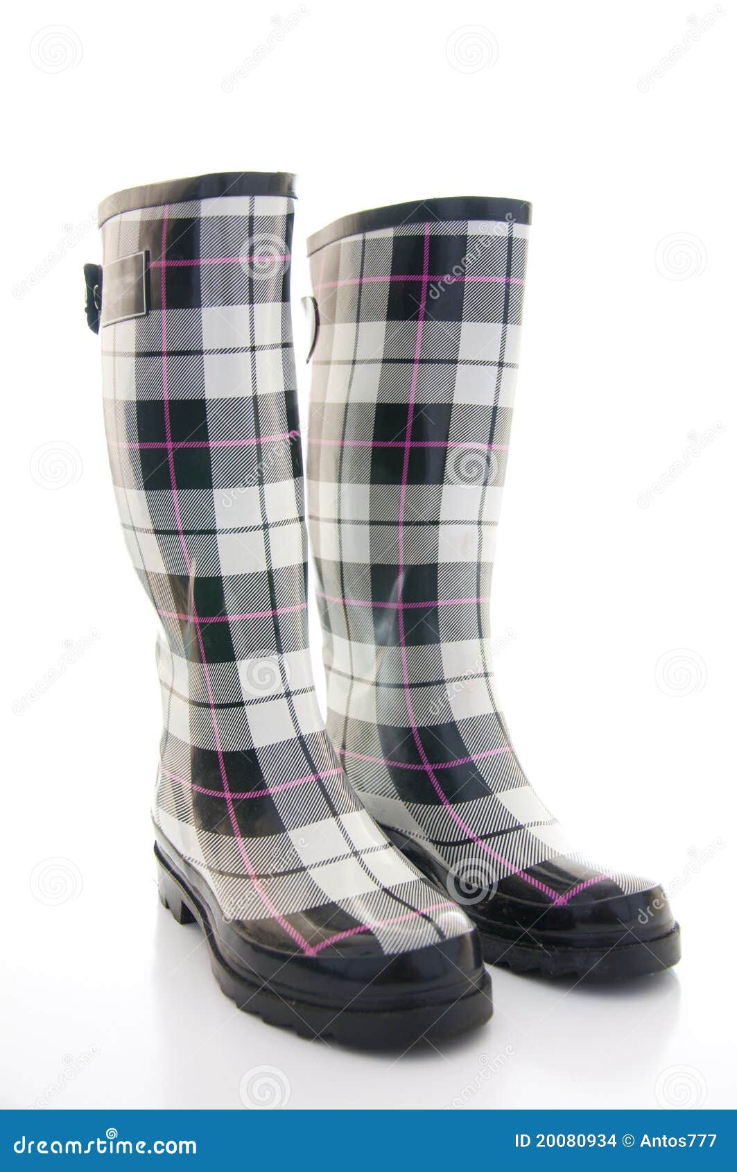 Wellingtons stock photo. Image of outdoors, gardening - 20080934