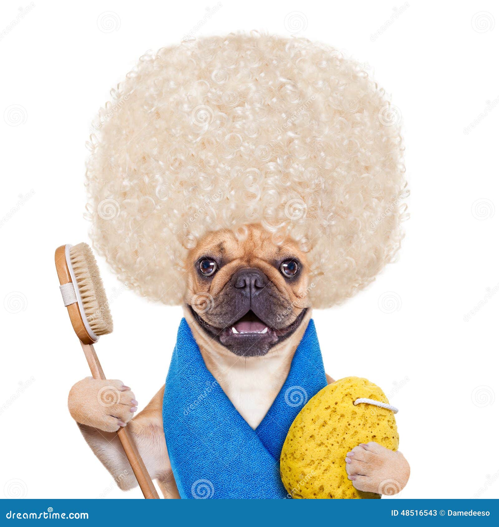 Wellness dog stock image. Image of health, puppy, healthy - 48516543