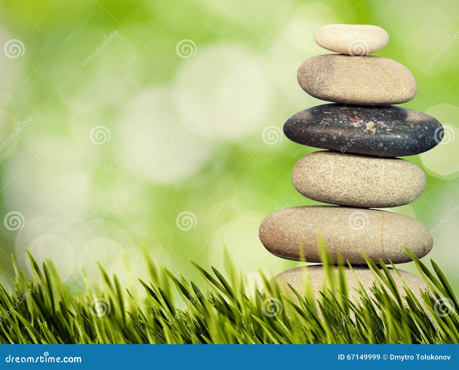 Wellness, Health and Natural Harmony Concept. Stock Image Image of
