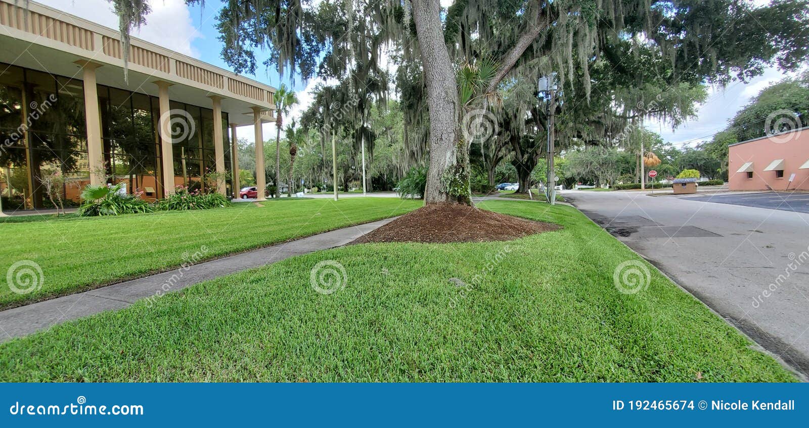 Wells Fargo Building in Bartow Florida Editorial Stock Image Image of lawn, flower 192465674