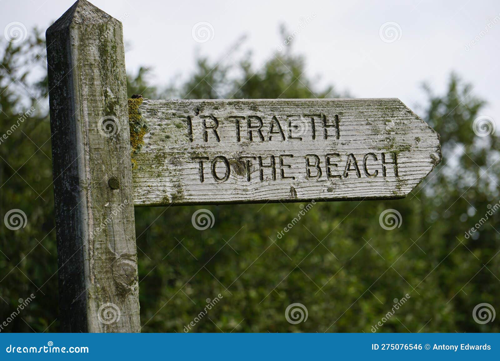 Welsh Beach stock photo. Image of wall, cemetery, green 275076546