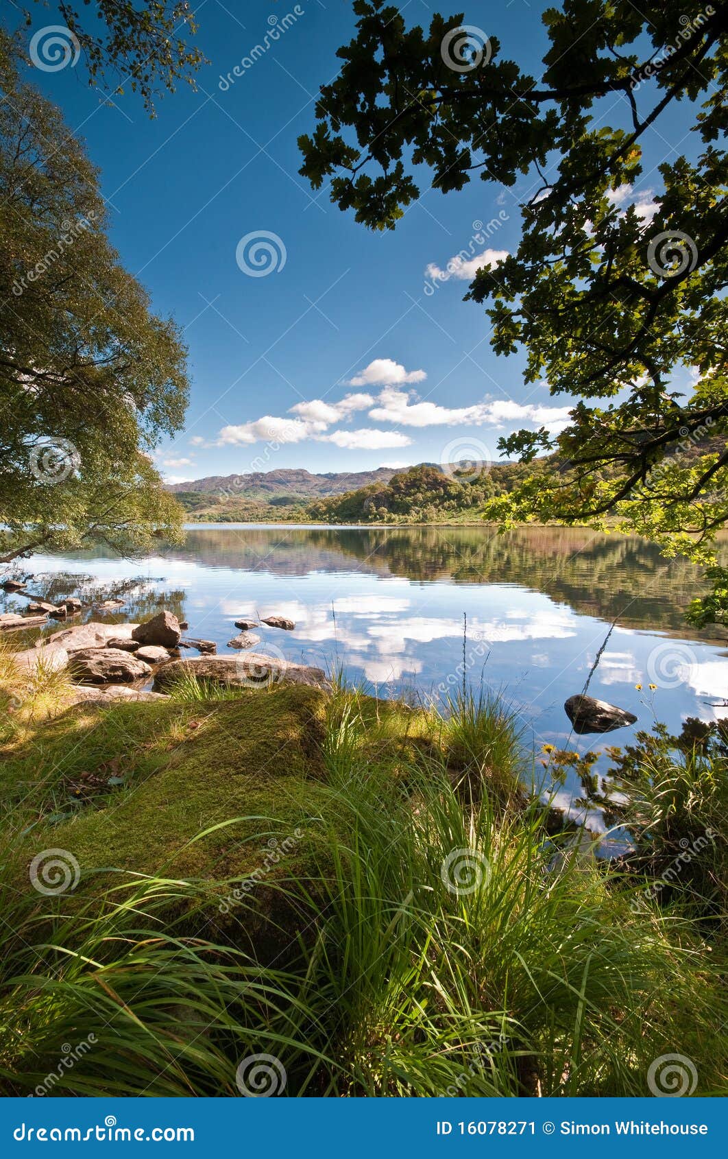 Welsh Lake stock image. Image of natural, colorful, forest - 16078271