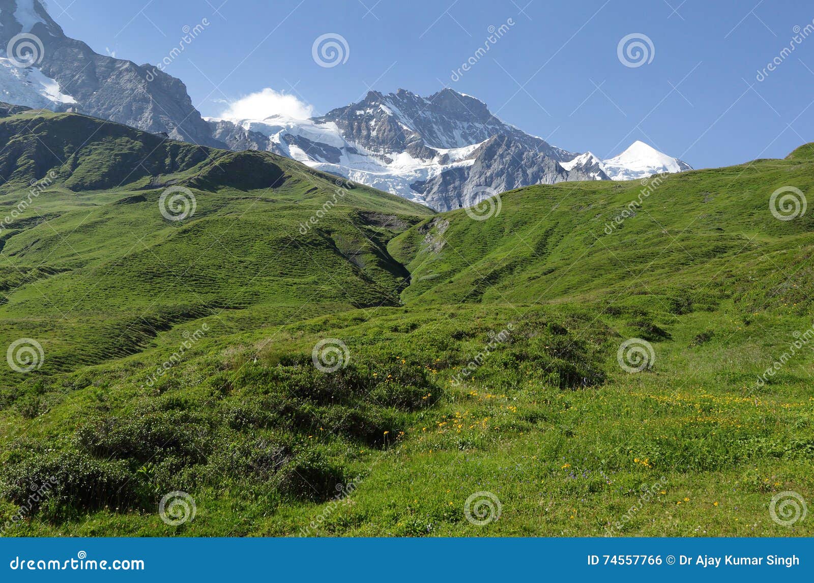 wengen jungfrau and jungfrau peaks of swiss alps on the way to kleine scheidegg