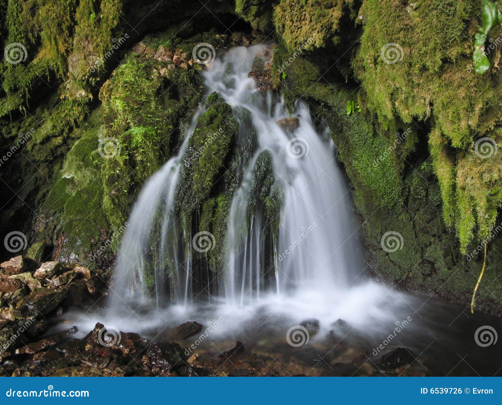 Wenig Wasserfall - Wasservertiefung - versteckt in den Waldschatten