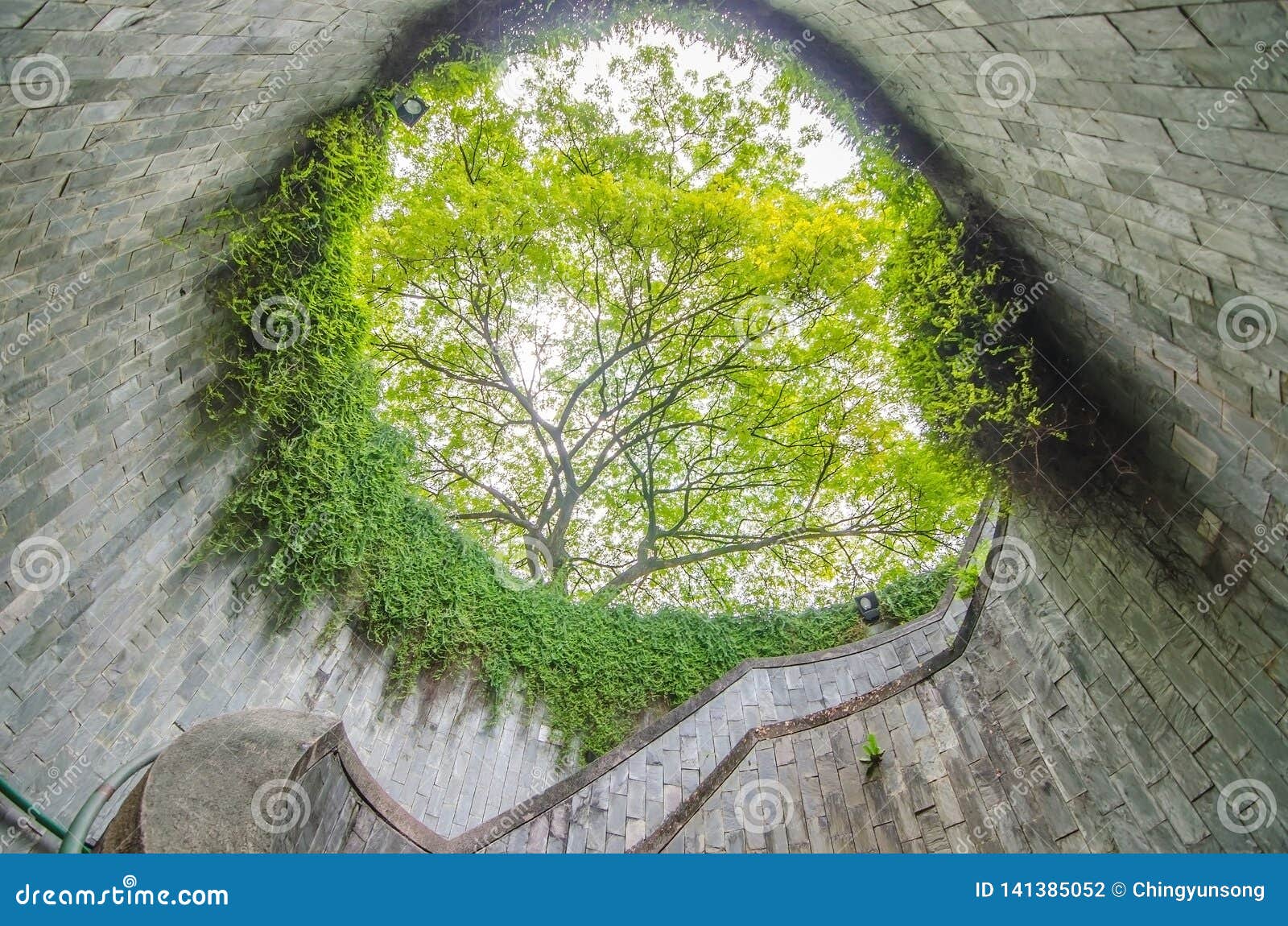 Een Wenteltrap van ondergronds het oversteken en de boom in tunnel bij Fort Inblikkend Park, Singapore