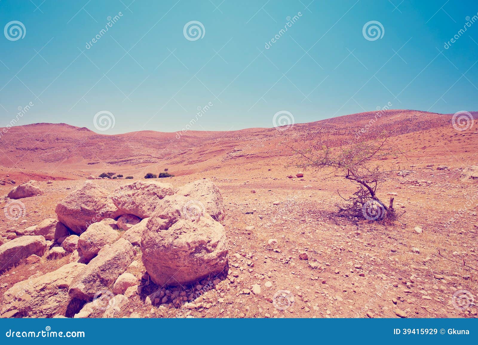 West Bank stock image. Image of instagram, ecology, holy 39415929