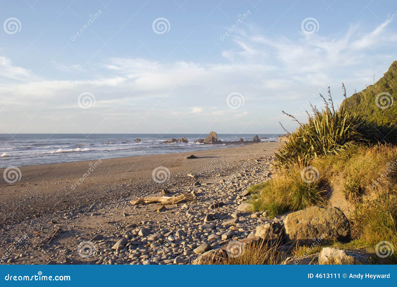 West Coast Beach 02 stock image. Image of ocean, shore - 4613111
