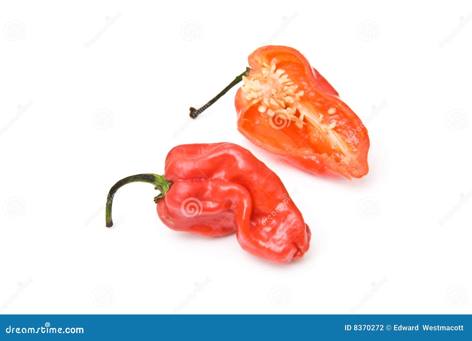 West Indian chili peppers stock photo. Image of edible 8370272
