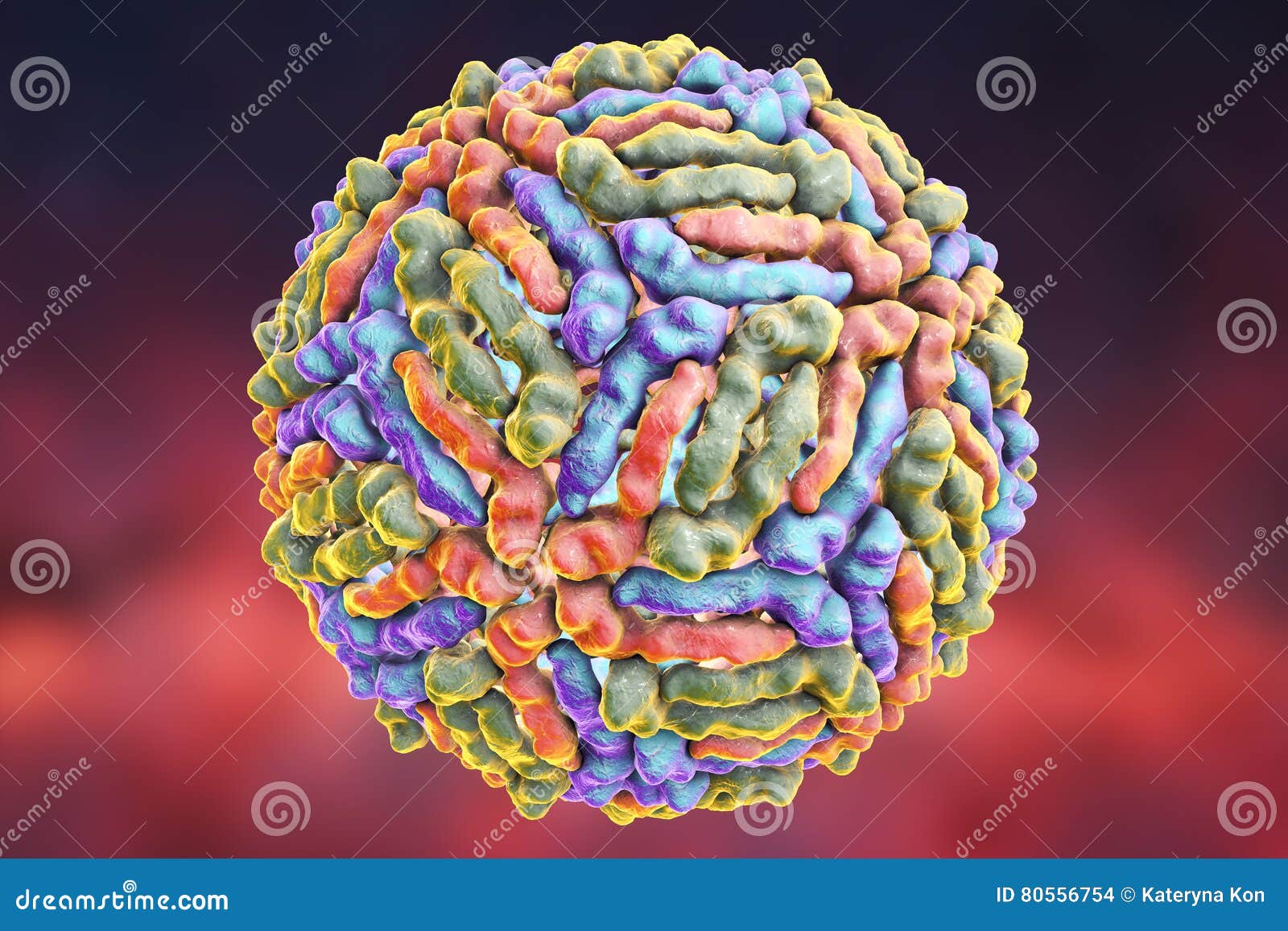 West Nile Virus Stock Illustration Illustration Of Human 80556754