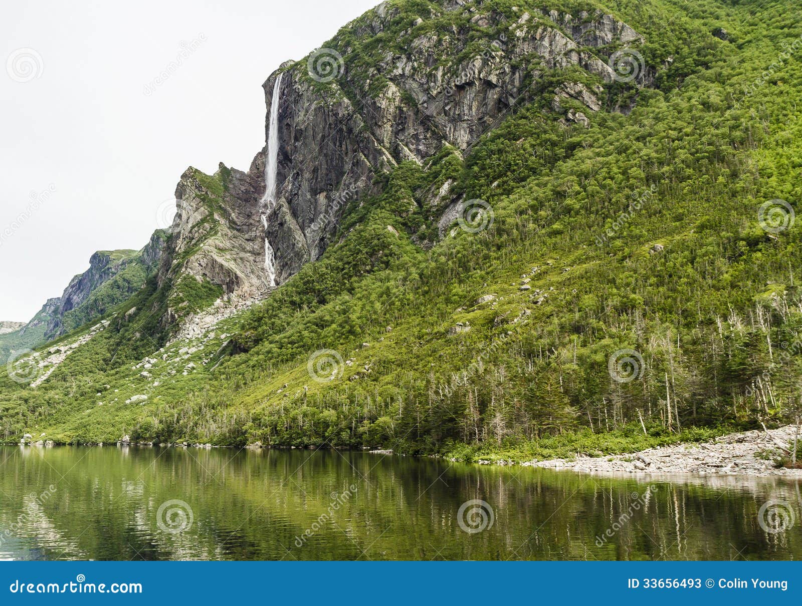 western brook pond reflections