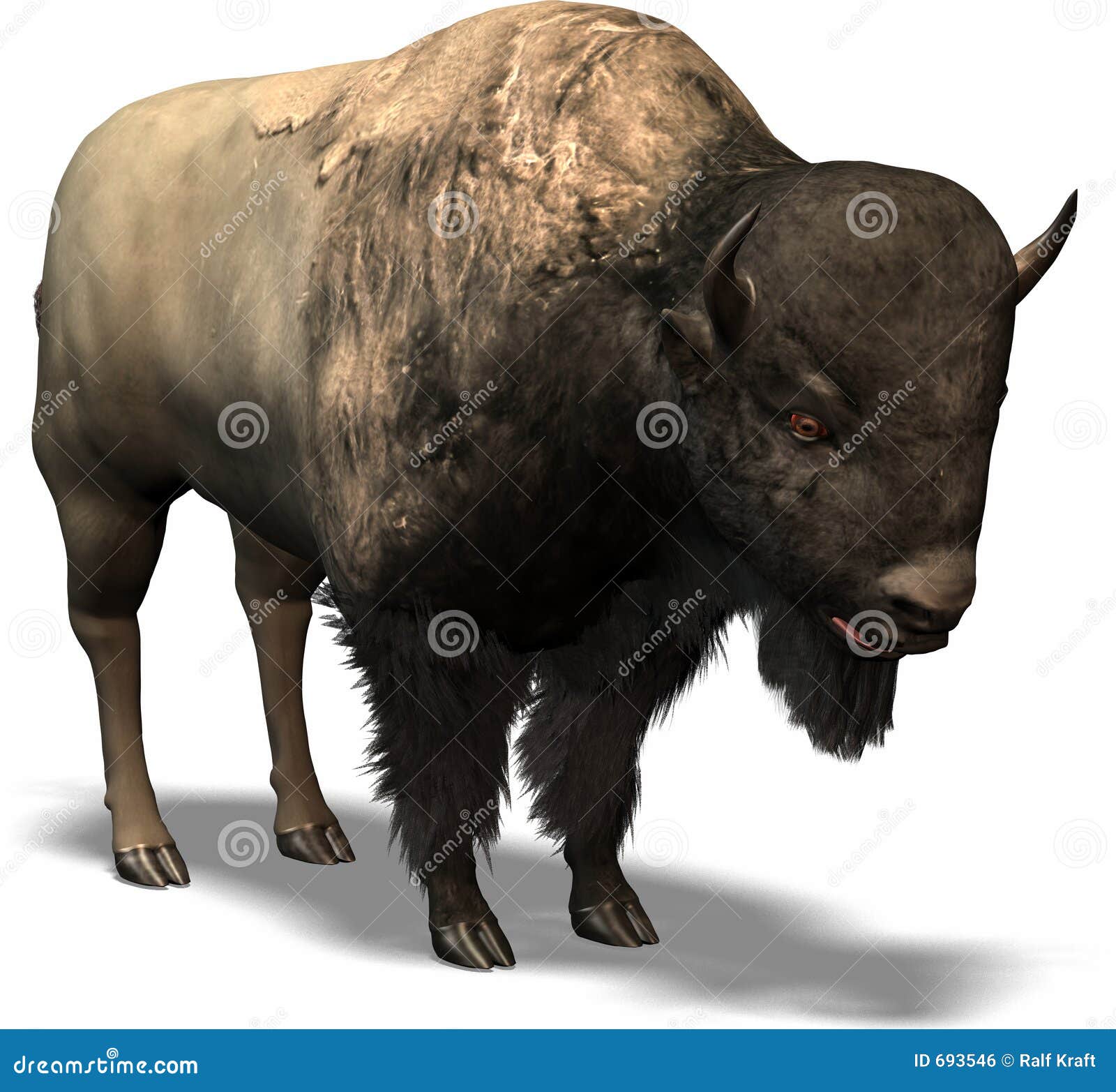 western buffalo