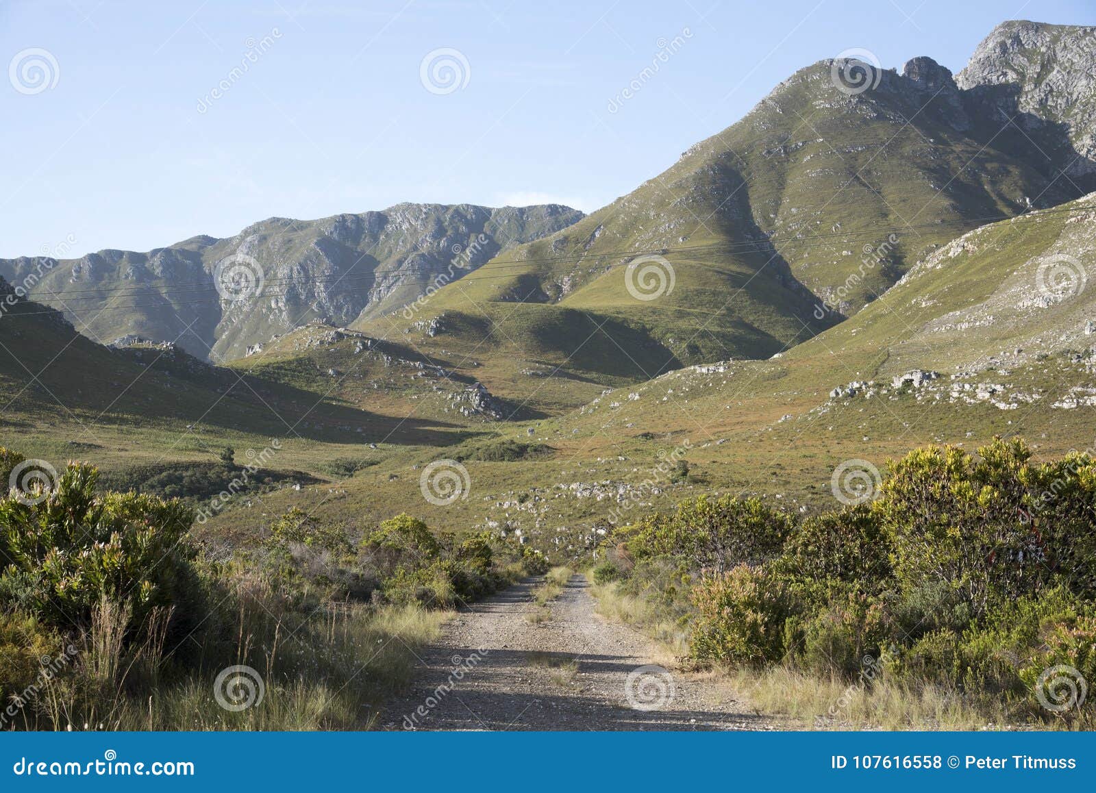 Mountain Track in the Western Cape Region of Southern Africa Stock ...