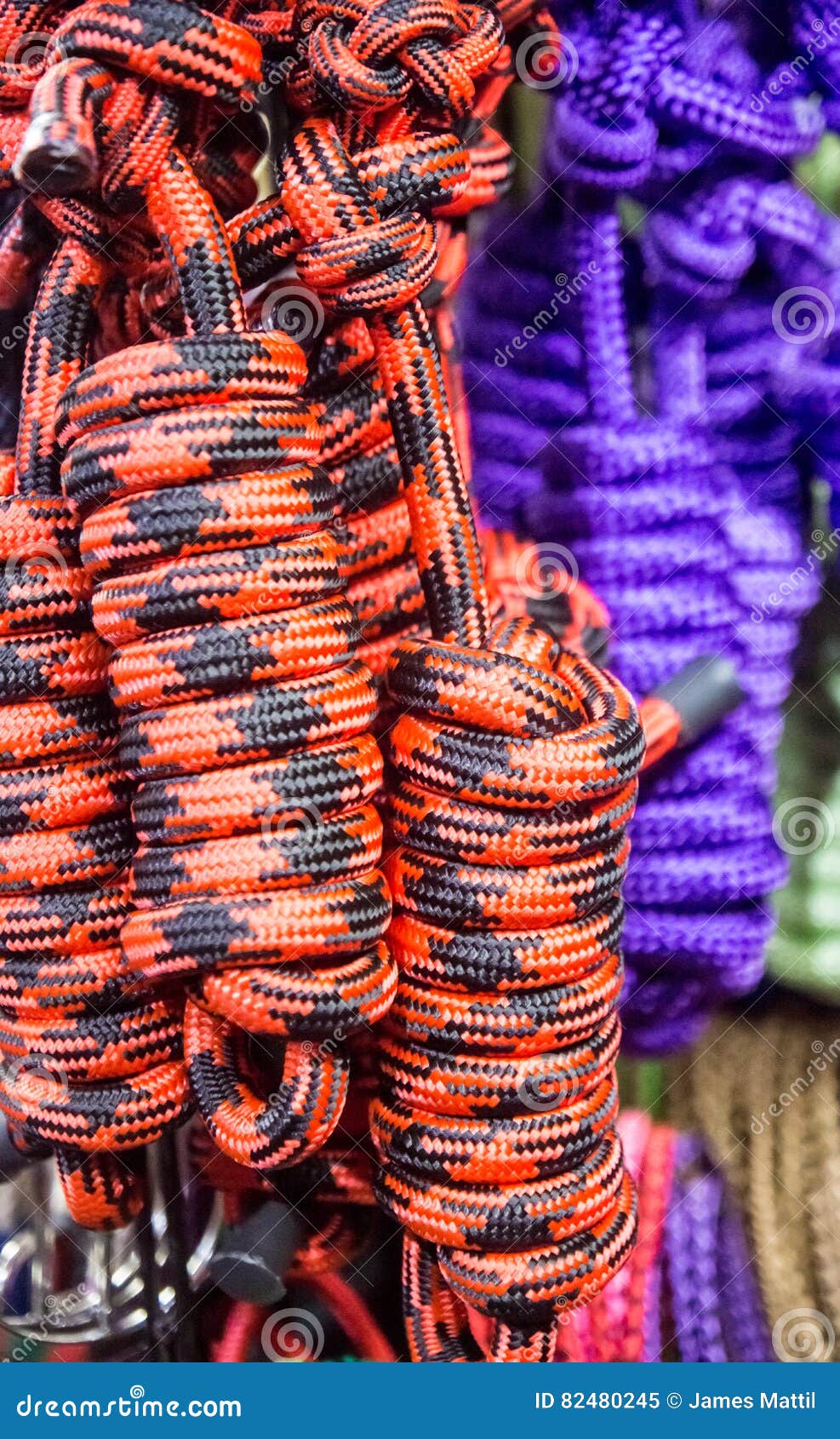 Cowboy Rope Stock Photography CartoonDealer com #67993226 Cowboy Rope Stock Photography CartoonDealer com #67993226