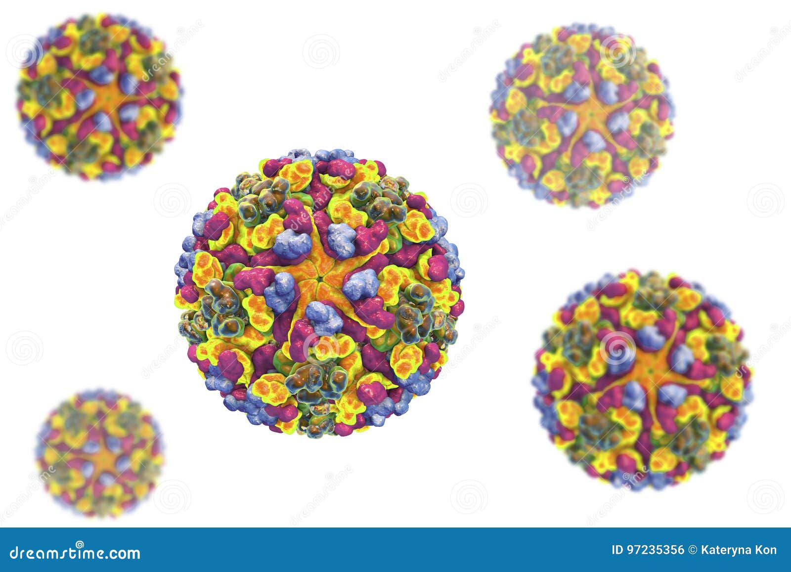 western equine encephalitis virus