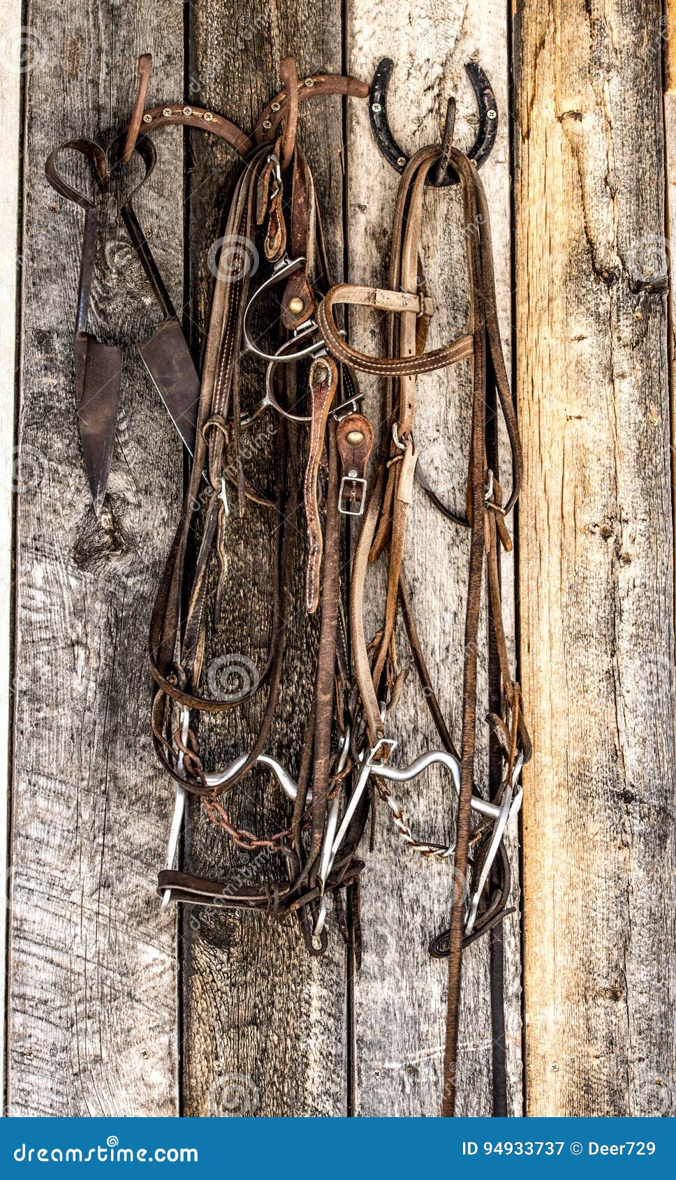 Western Hanging Tack stock image. Image of bridal, cowgirl 94933737