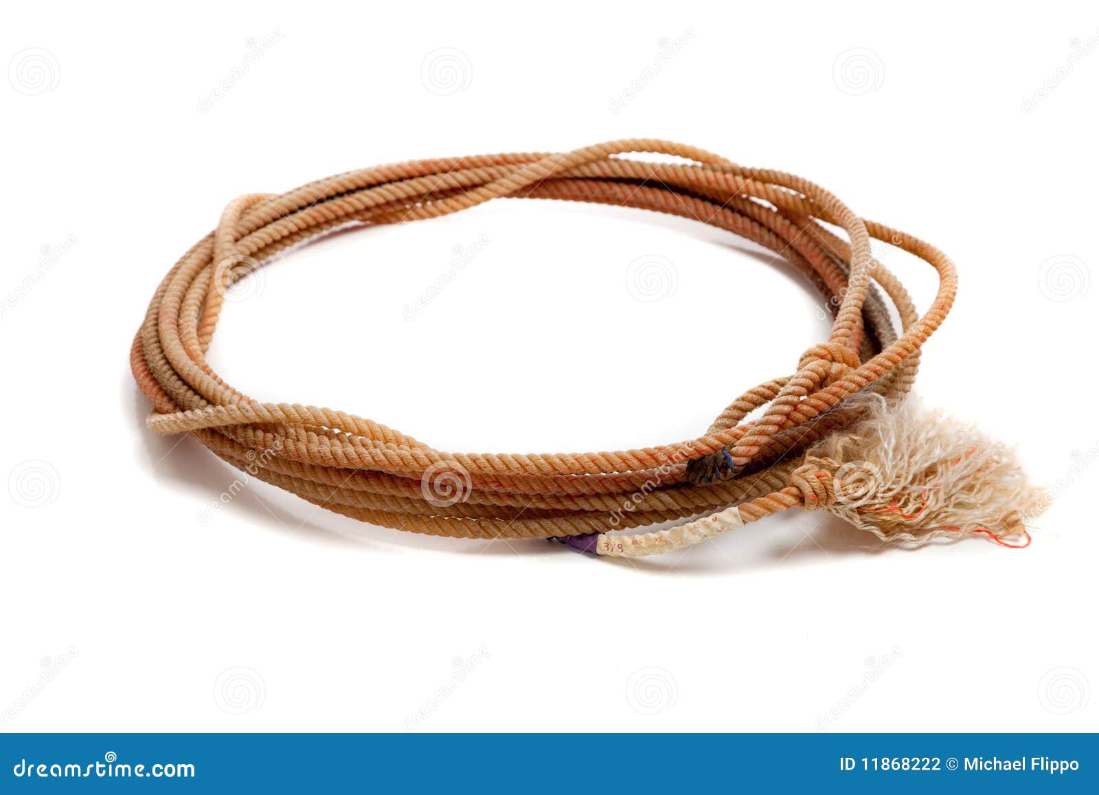 Western Lasso on a White Background Stock Photo - Image of string