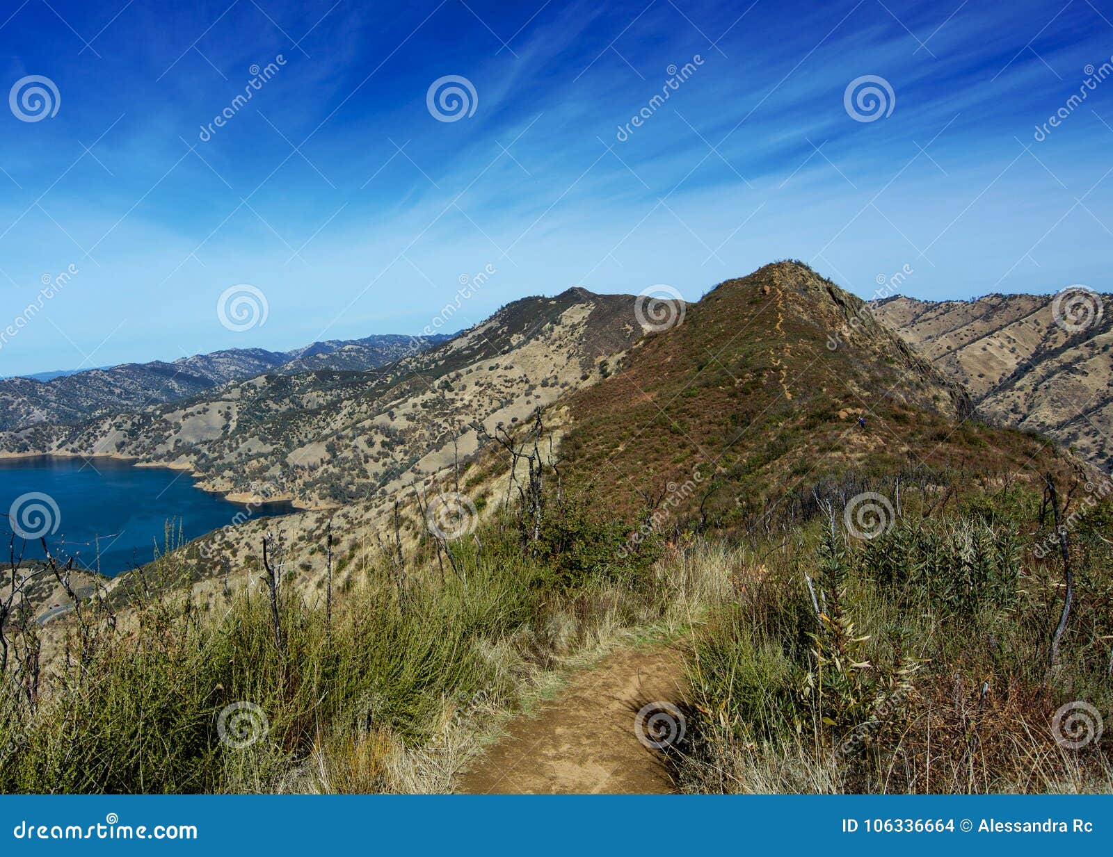 The Blue Ridge Trail, Stebbins Cold Canyon Stock Photo Image of
