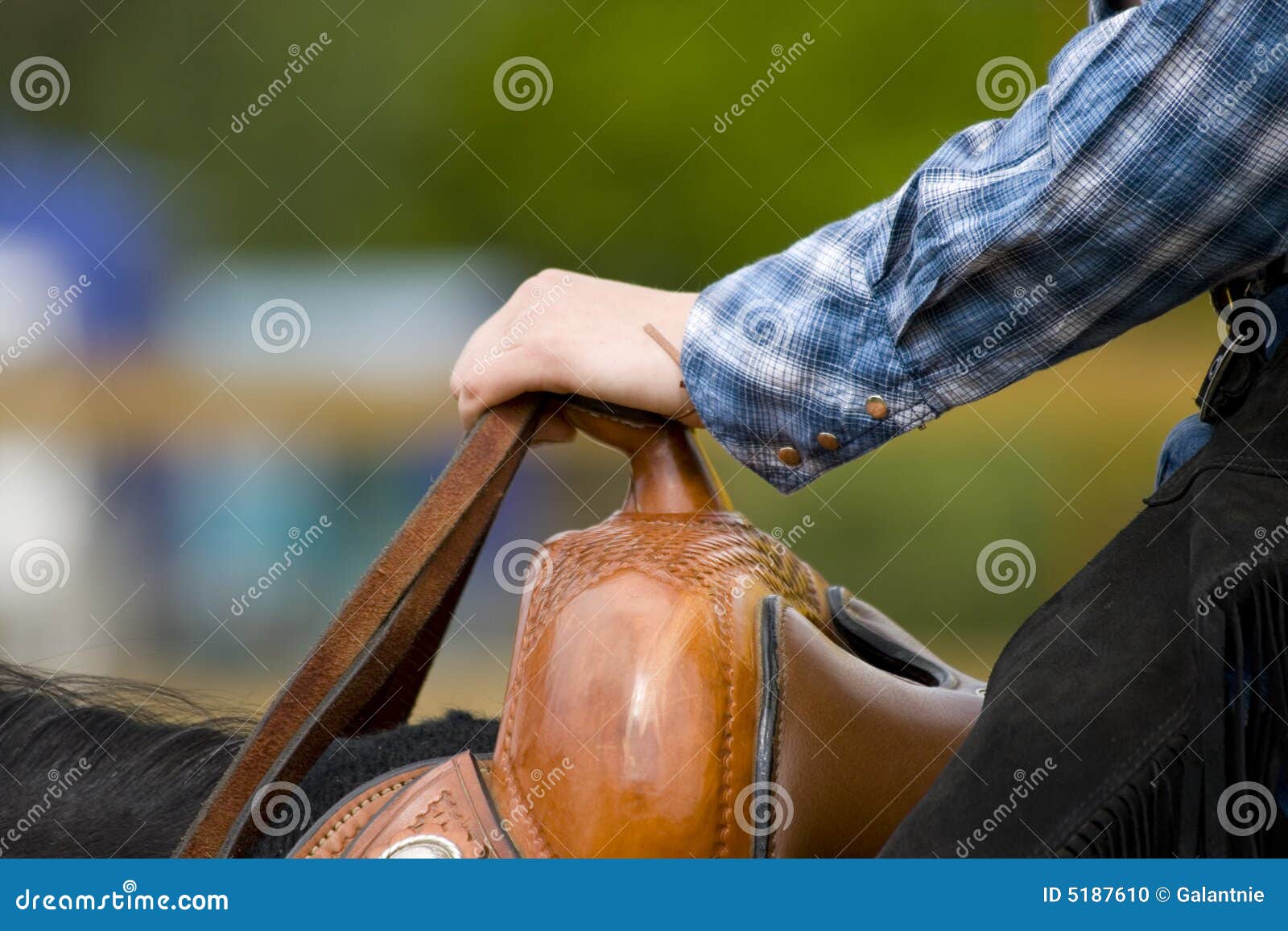 Western Riding Equipment Detail Stock Photo Image of horse, hand 5187610