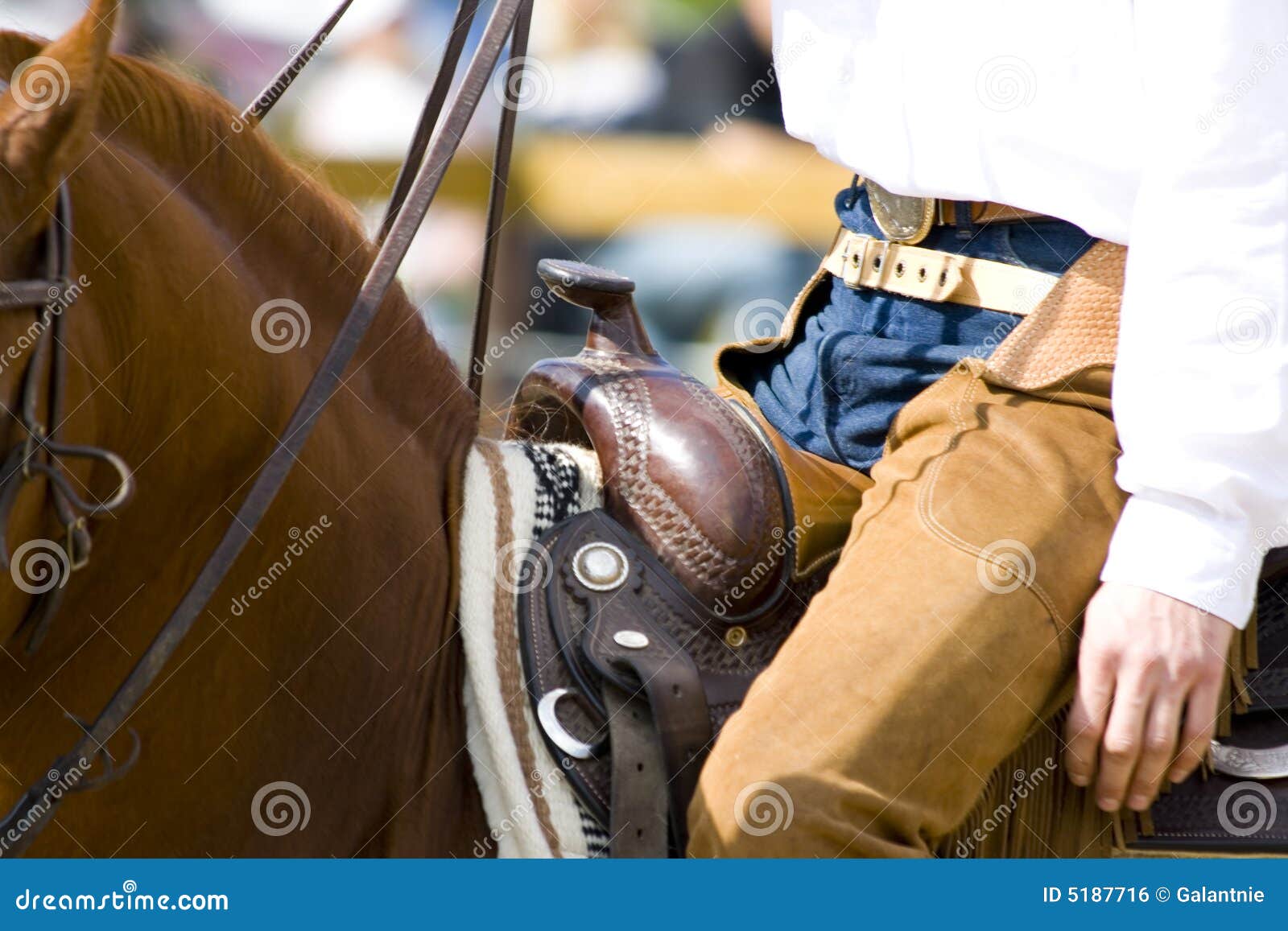 Western Riding Equipment Detail Stock Photo Image of sport, riding