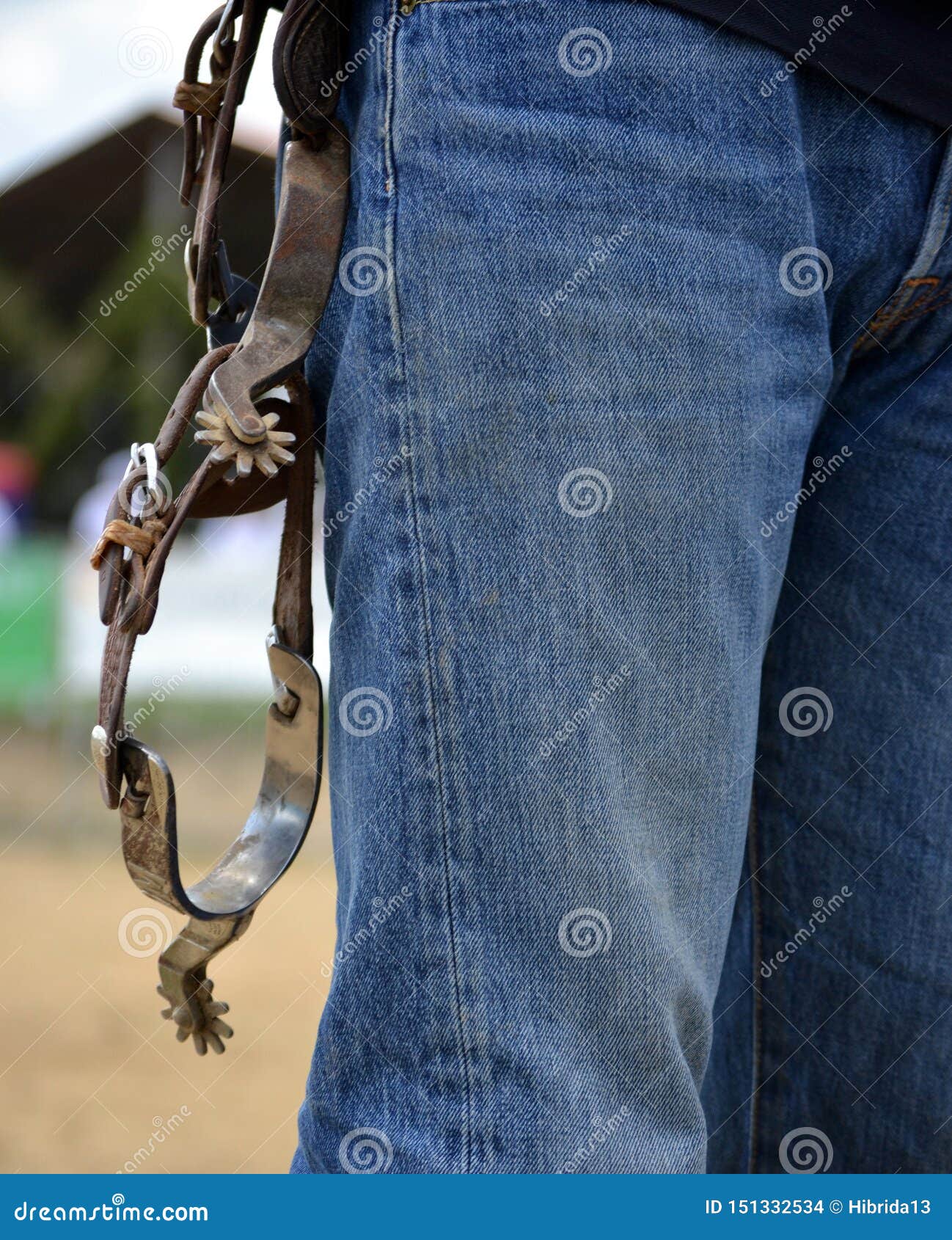 Western Riding Spurs Hanging on Belt Stock Photo Image of sharp, spur