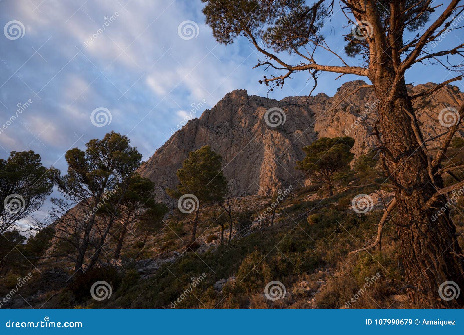 puig campana mountain