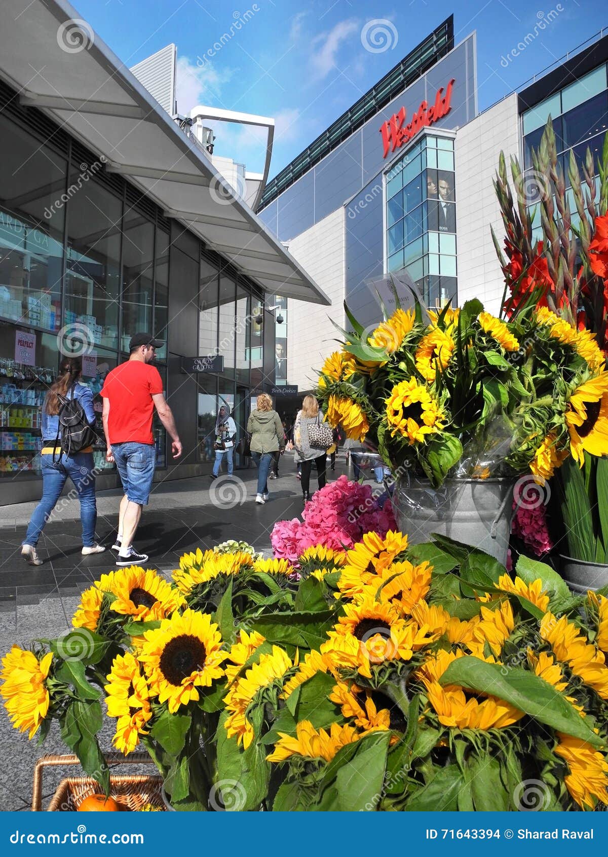 Westfield London  Shopping in Shepherd's Bush, London