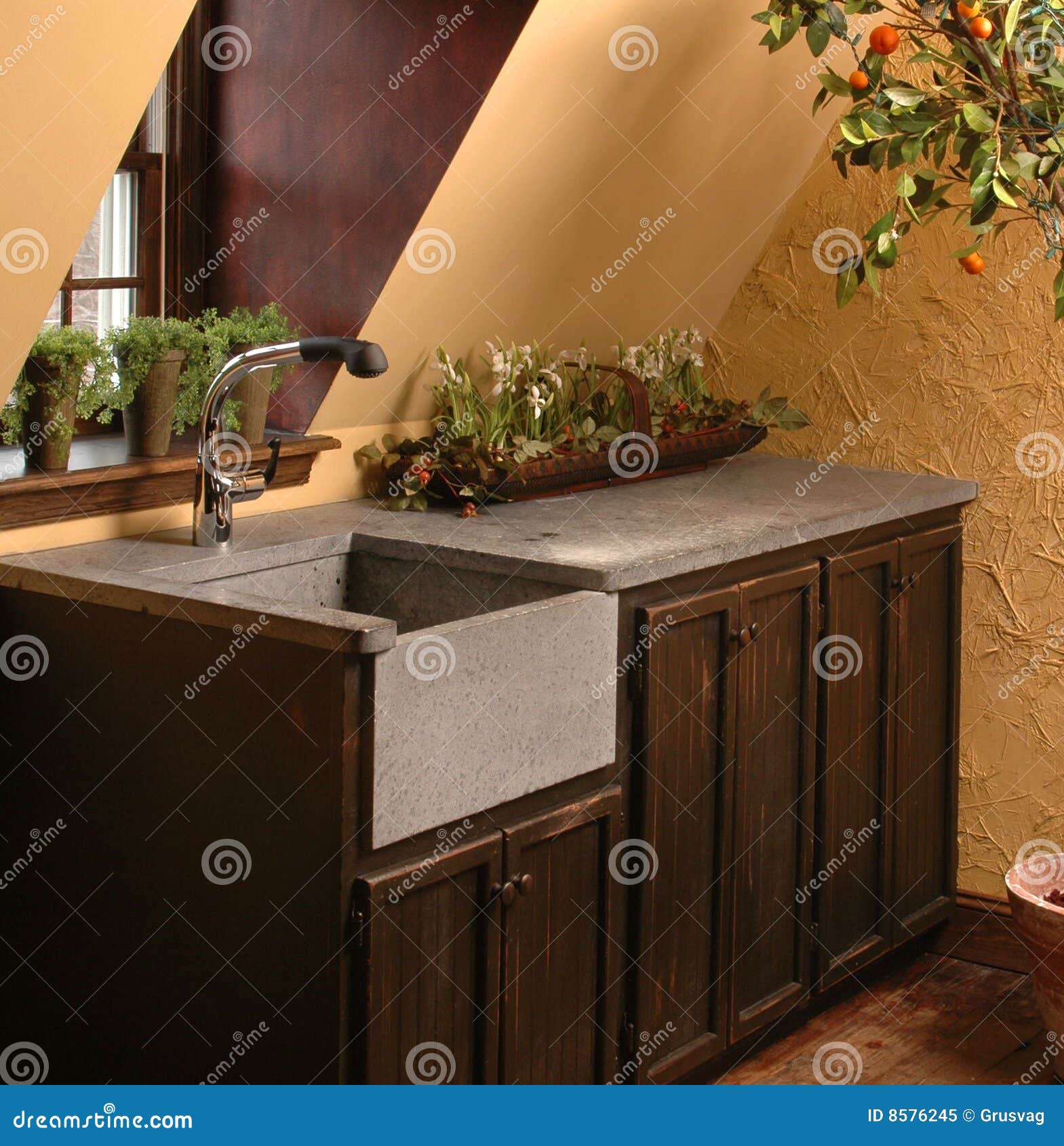 Wet Bar Stock Image Image Of Wood Plants Sink Textured 8576245