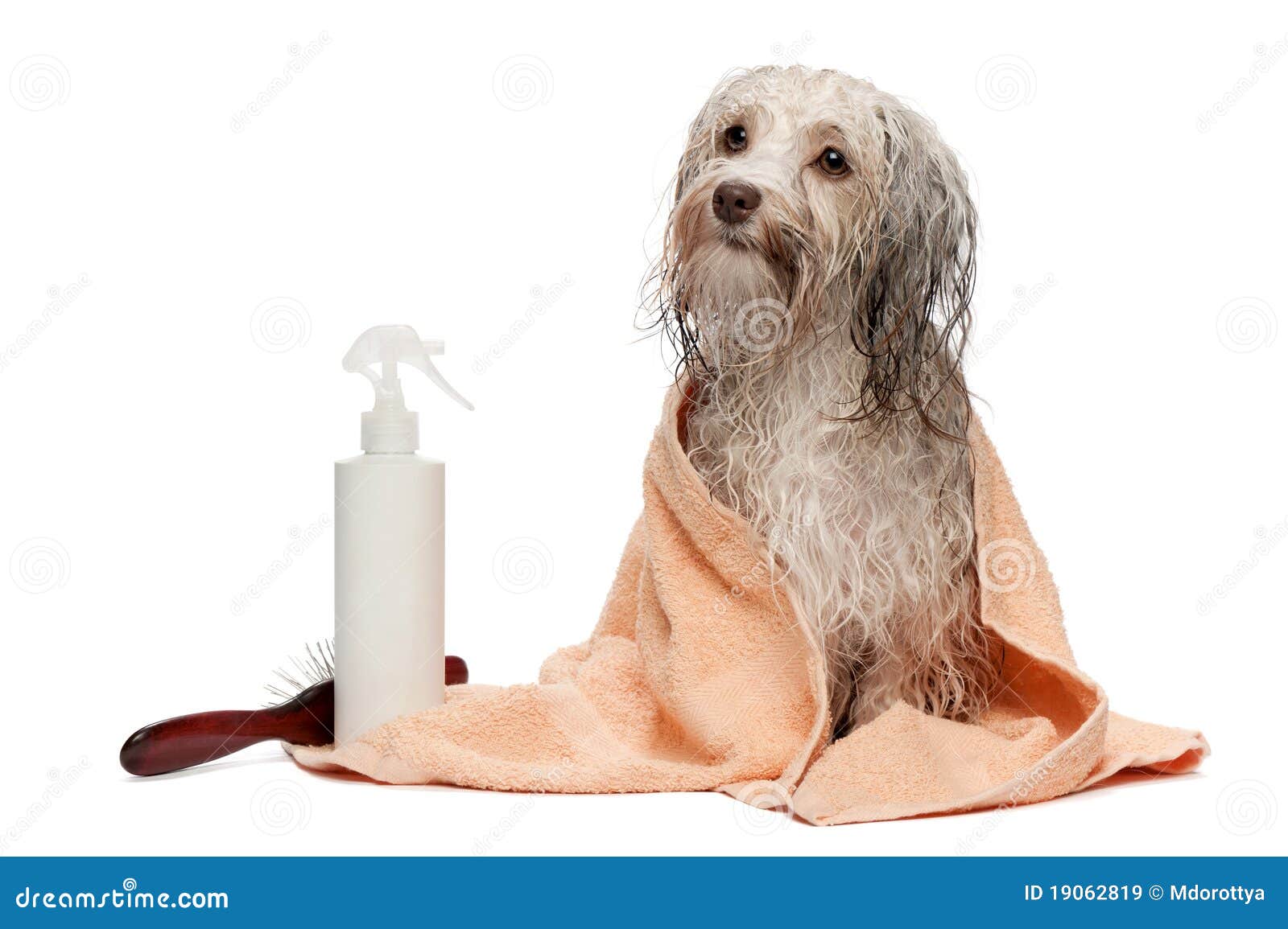 wet dog conditioner