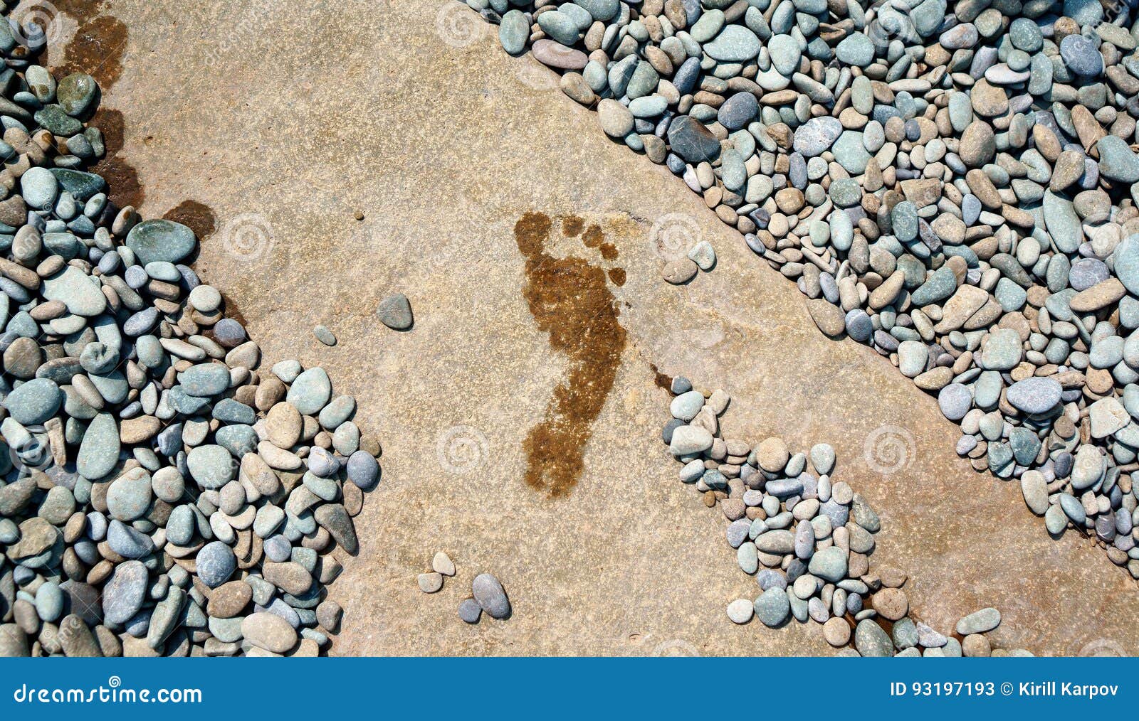 Wet Footprint on a Hot Stone Stock Image Image of detail, ground
