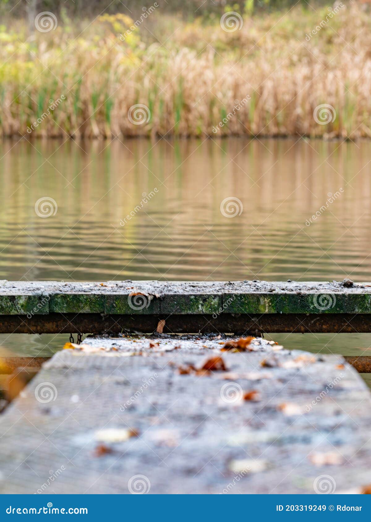 Fushing Stock Photos - Free & Royalty-Free Stock Photos from Dreamstime