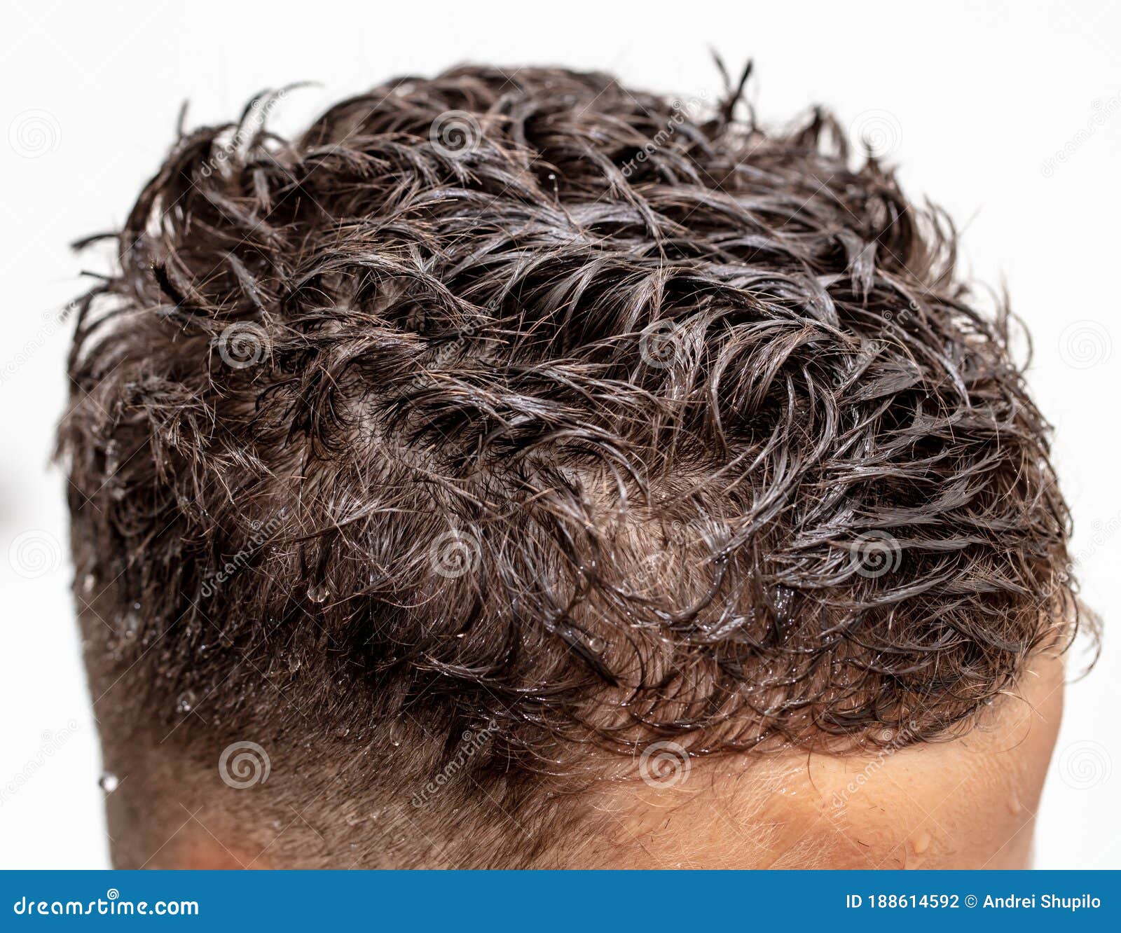 Wet Hair on the Boy’s Head on a White Background Stock Photo - Image of hooligan, background: 188614592 Wet Hair on the Boy’s Head on a White Background Stock Photo - Image of hooligan, background: 188614592