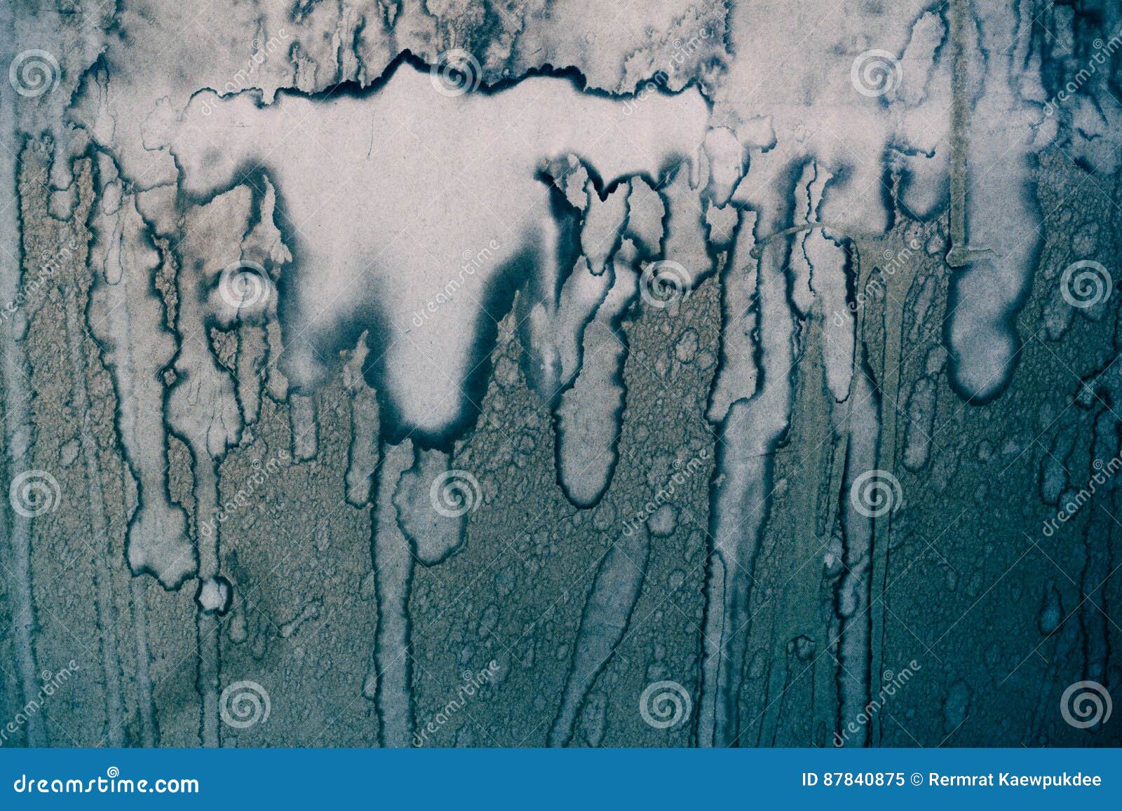 Wet Paper is Patterned Art. Stock Image Image of green, beautiful