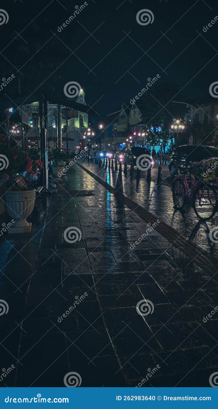 The Wet Park Street after the Rain. Stock Photo Image of lane, park