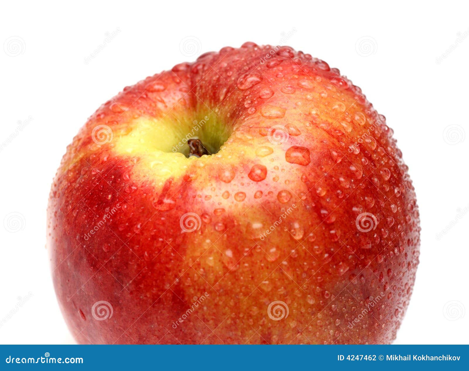 Wet Red Apple With Water Drops Stock Photo Image of clean