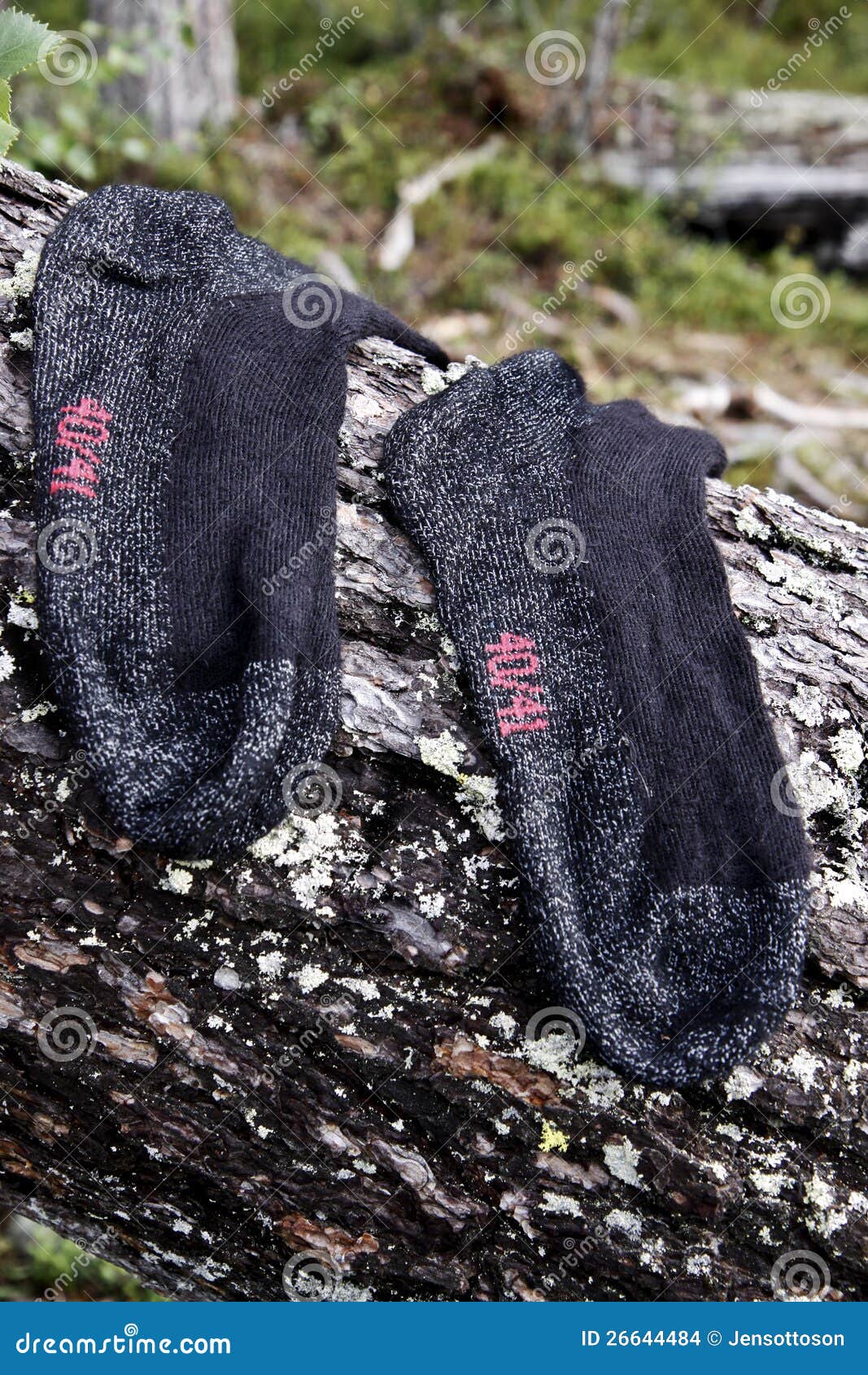 Wet socks stock photo. Image of laundry, clothes, forest 26644484